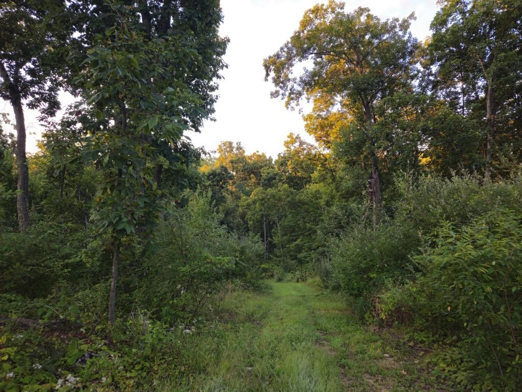 N6576 County Road N