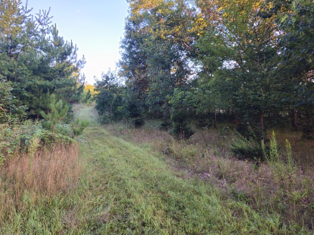 N6576 County Road N