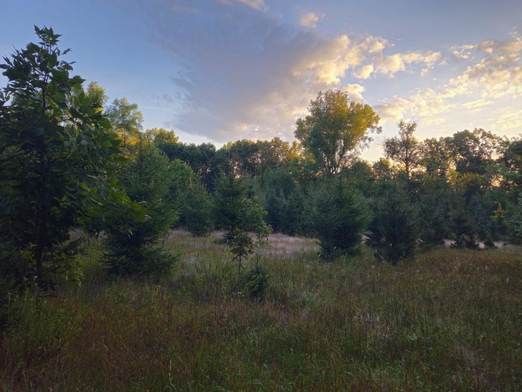N6576 County Road N