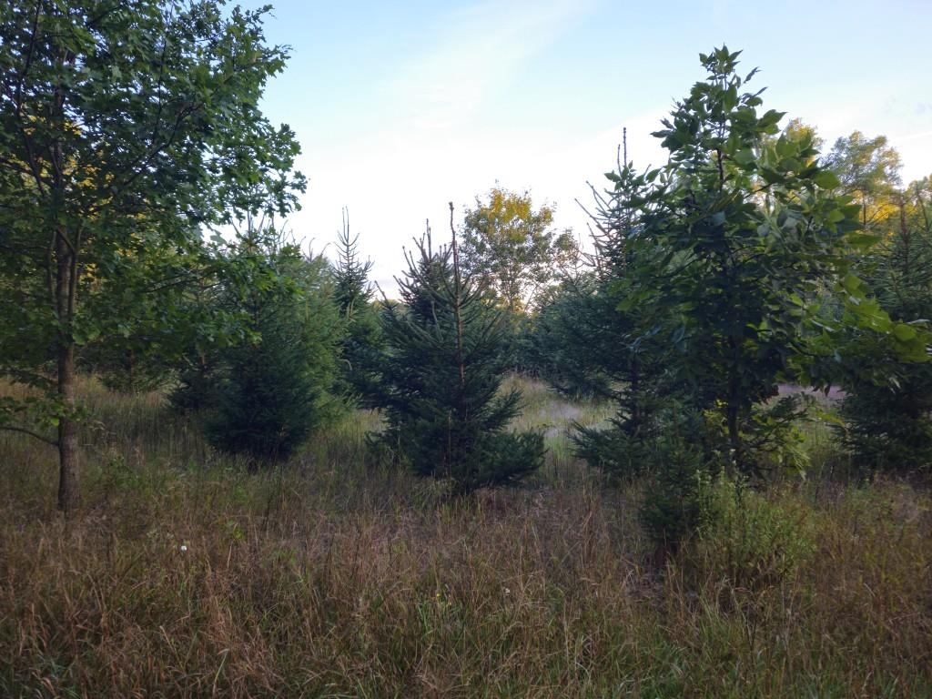 N6576 County Road N