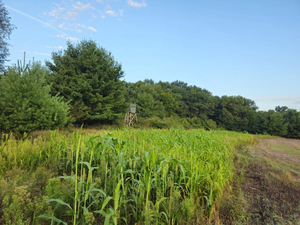 N6576 County Road N
