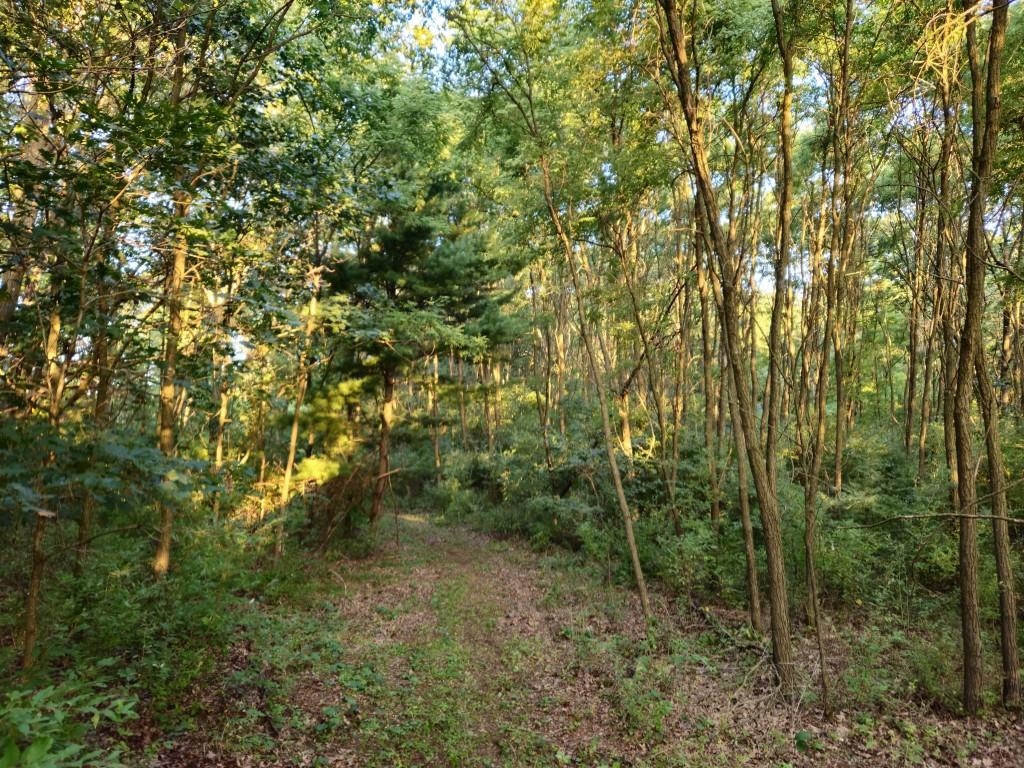 N6576 County Road N