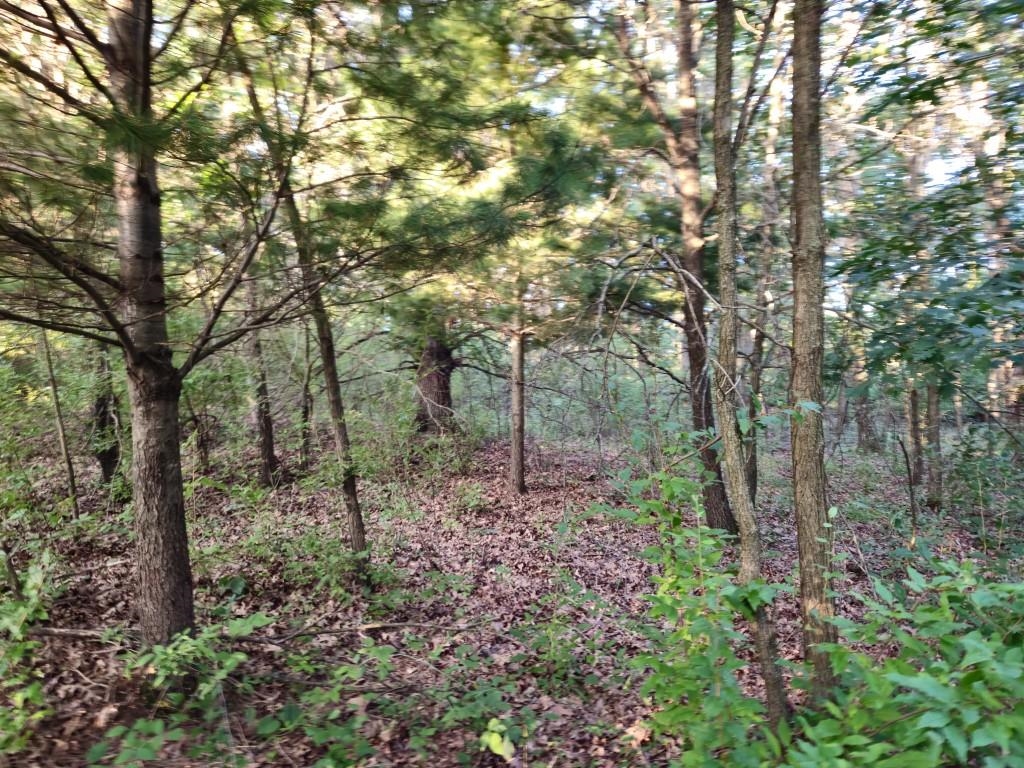 N6576 County Road N