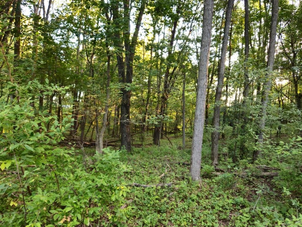 N6576 County Road N