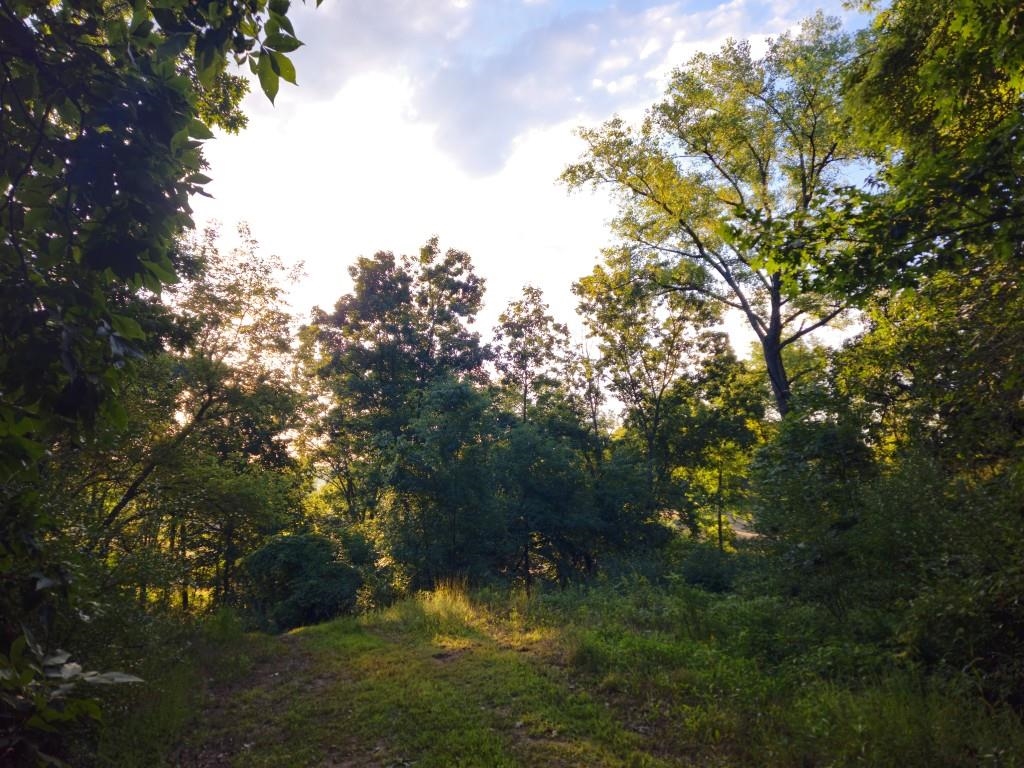 N6576 County Road N