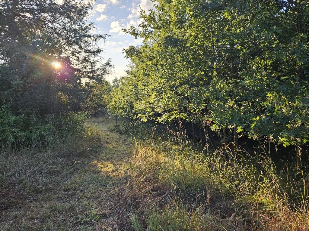 N6576 County Road N