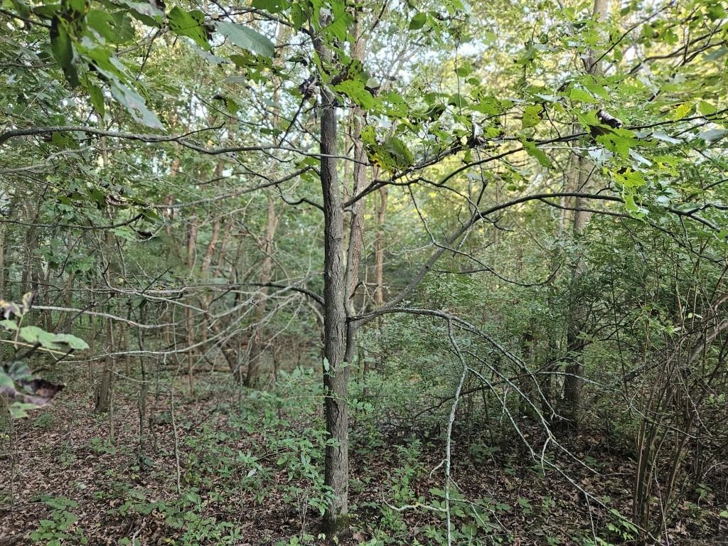 N6576 County Road N