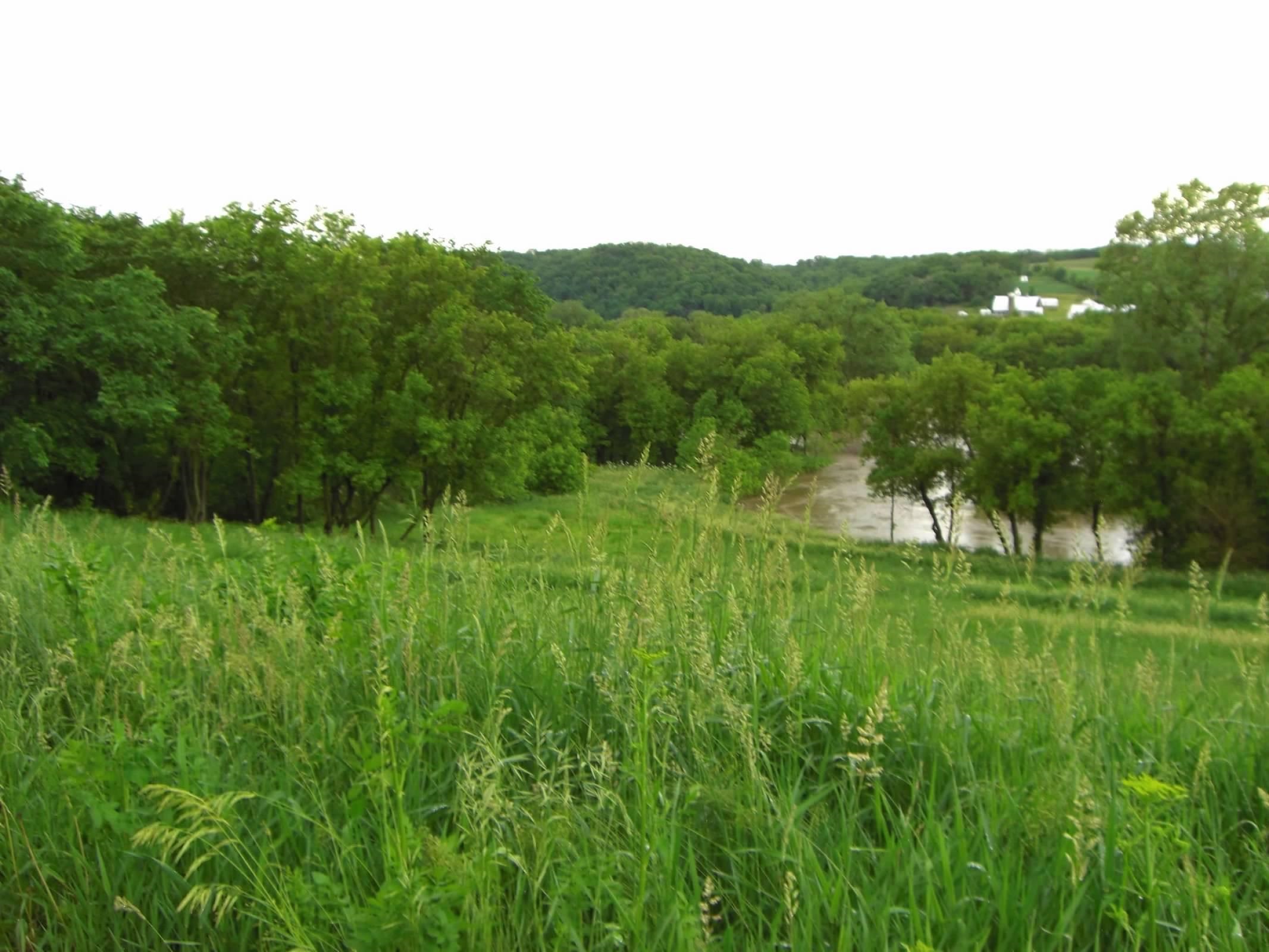 Photo 16 of Lot 15 Porter Bridge Rd, Beetown
