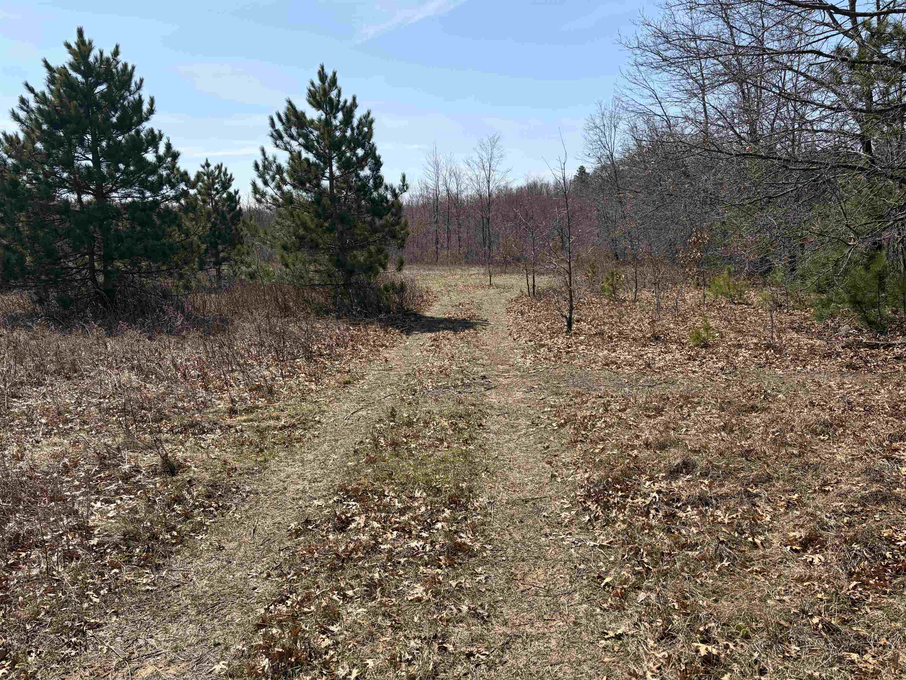 40 acres Town Hall Road property preview photograph