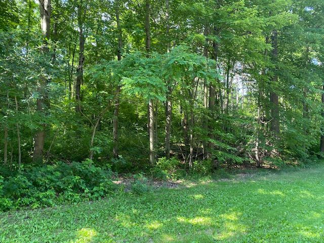 Lot 18 Oak Hill Estates property preview photograph