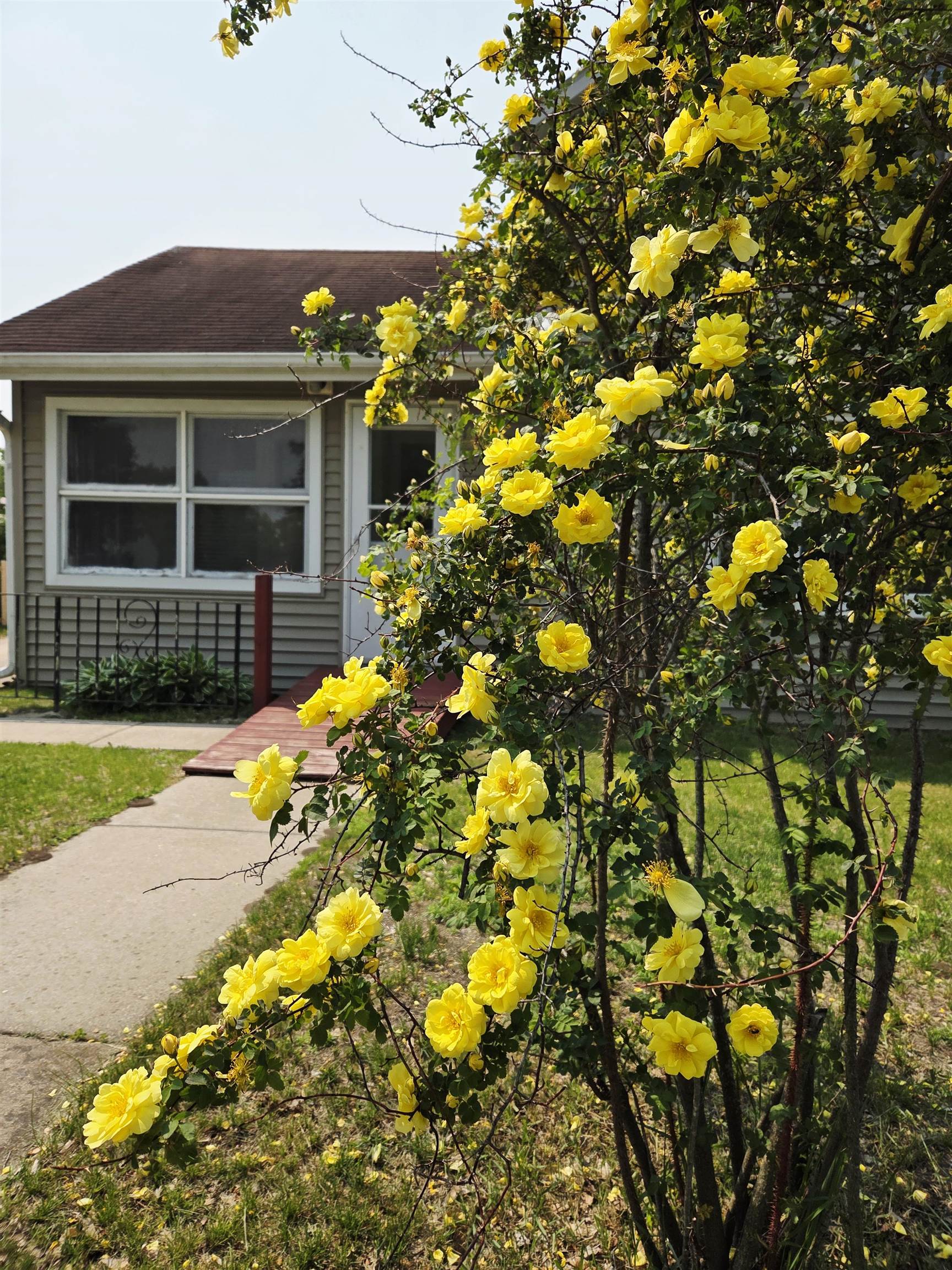 Photo 35 of 608 E Legrand Street, Boscobel