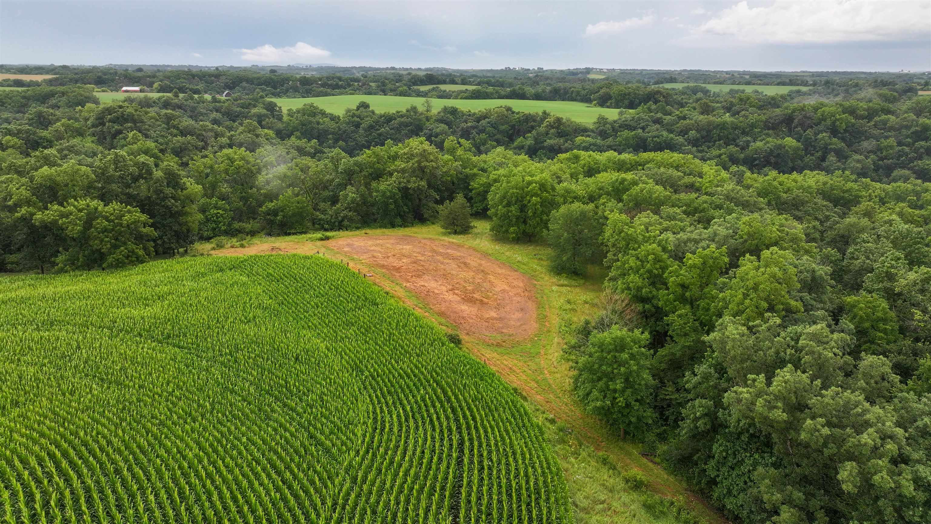 Photo 16 of 75± Acres Cannon Road, Ellenboro