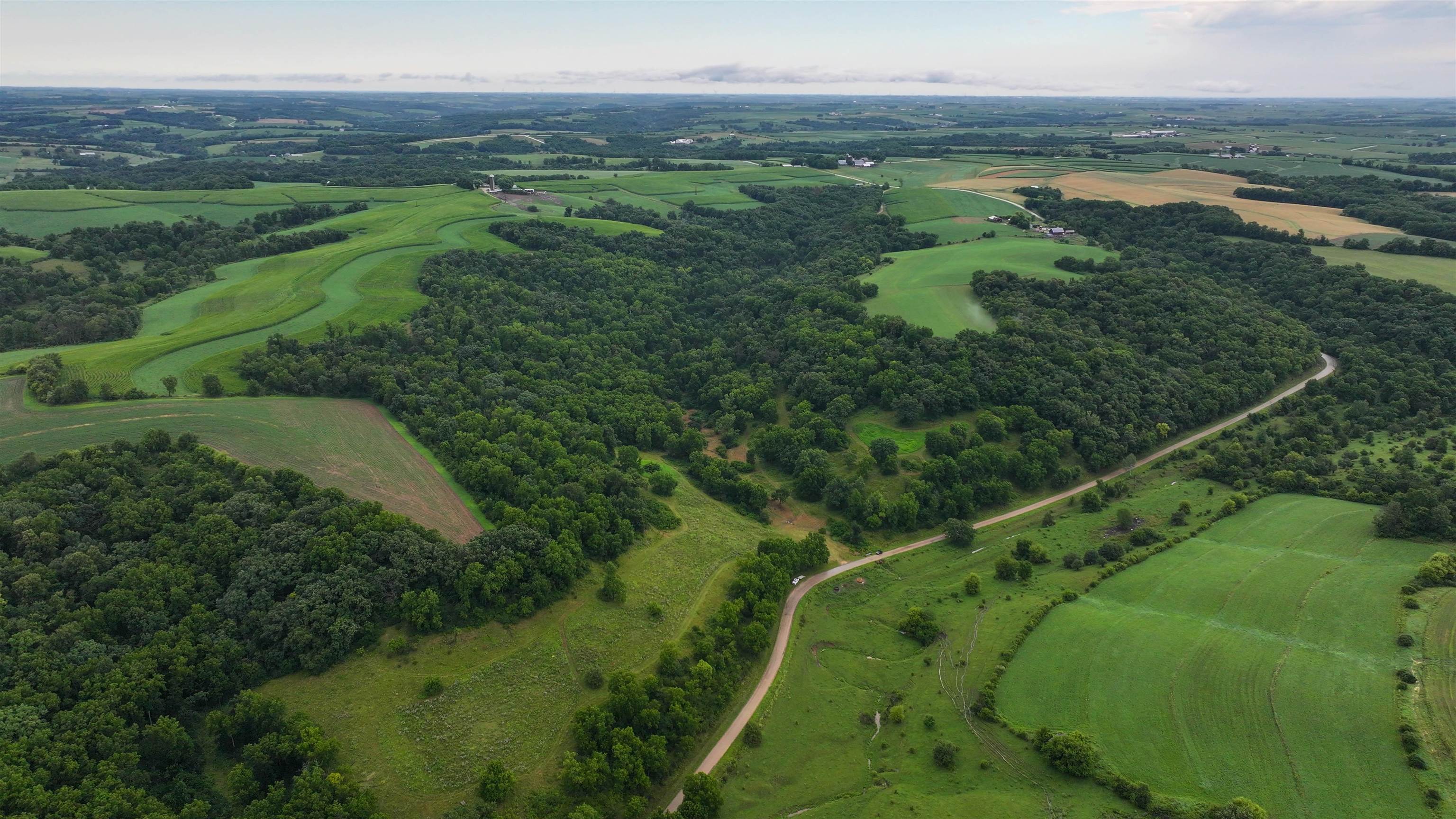 Photo 19 of 75± Acres Cannon Road, Ellenboro