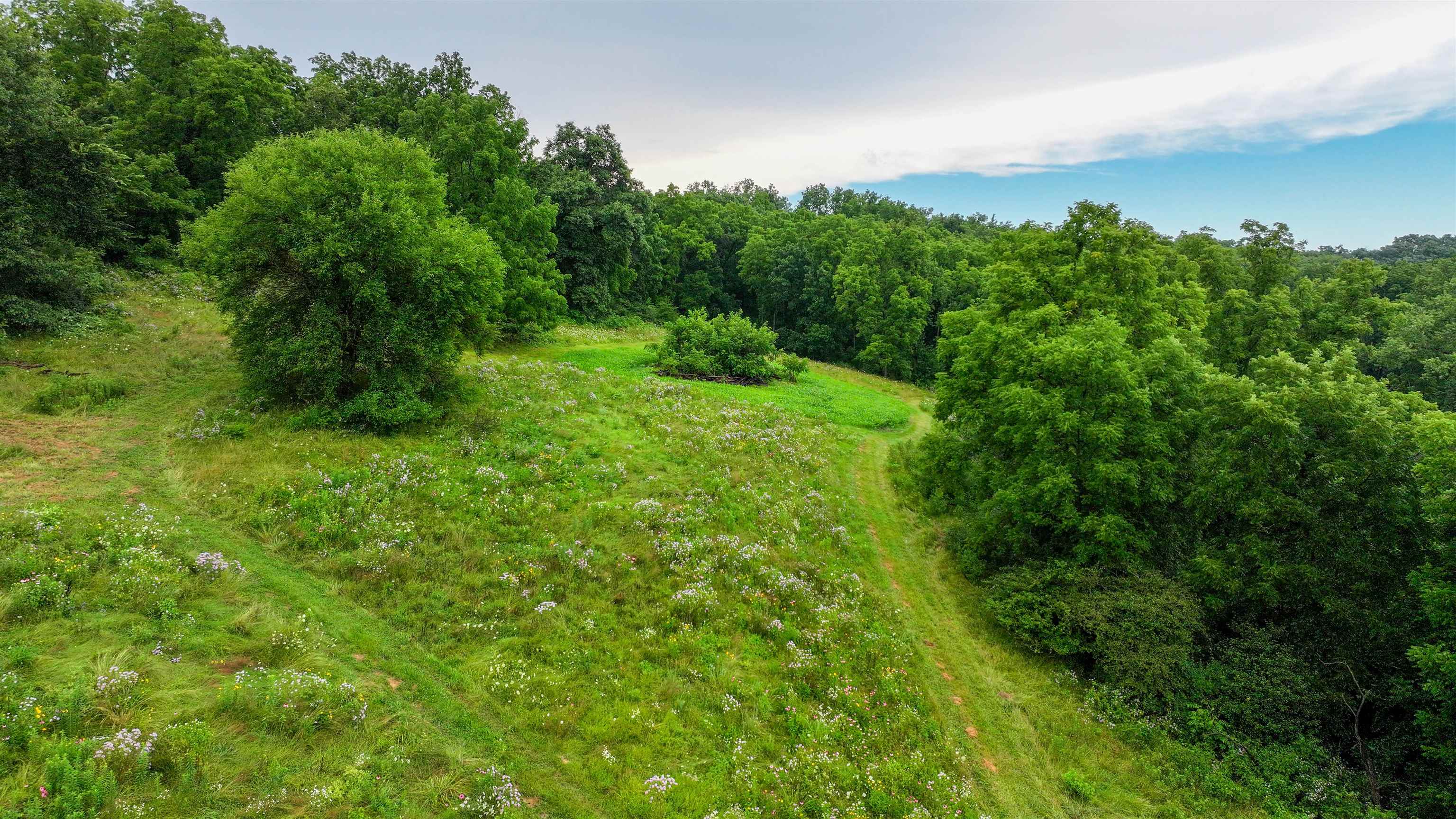 Photo 27 of 75± Acres Cannon Road, Ellenboro