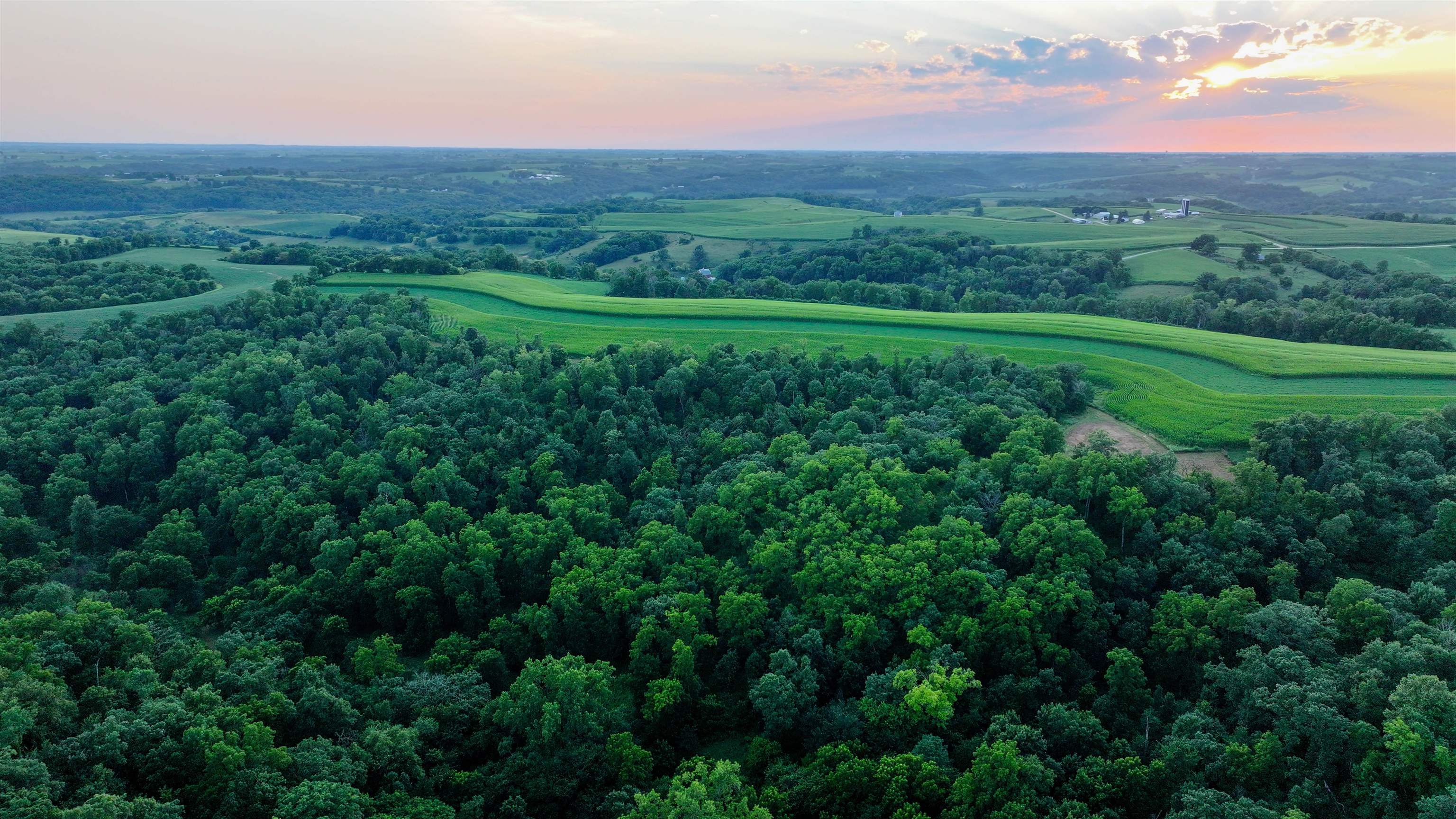 Photo 34 of 75± Acres Cannon Road, Ellenboro