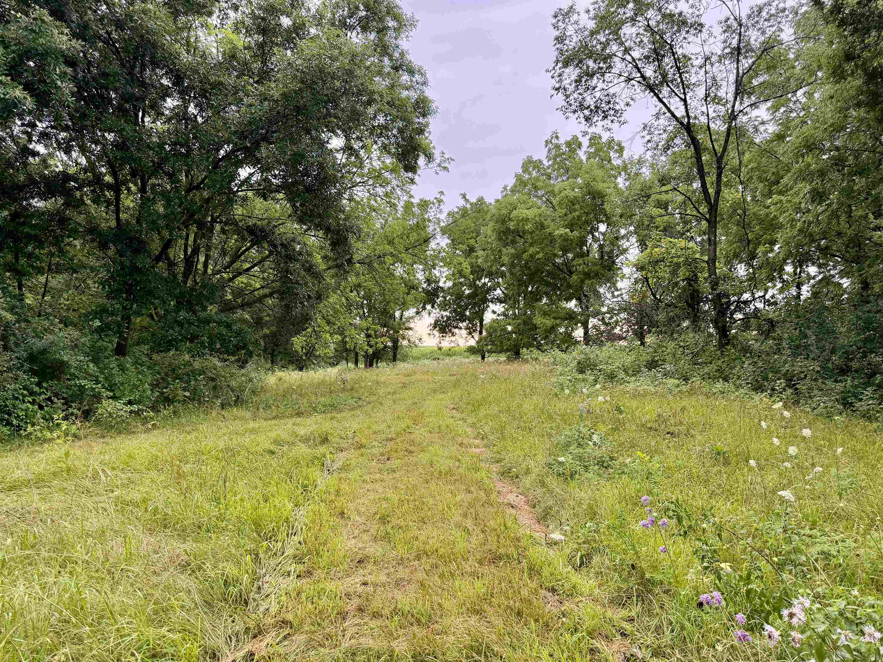 Photo 39 of 75± Acres Cannon Road, Ellenboro