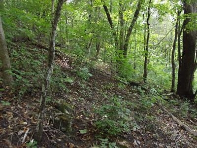 Photo 22 of 12062 County Road X Road, Wyalusing