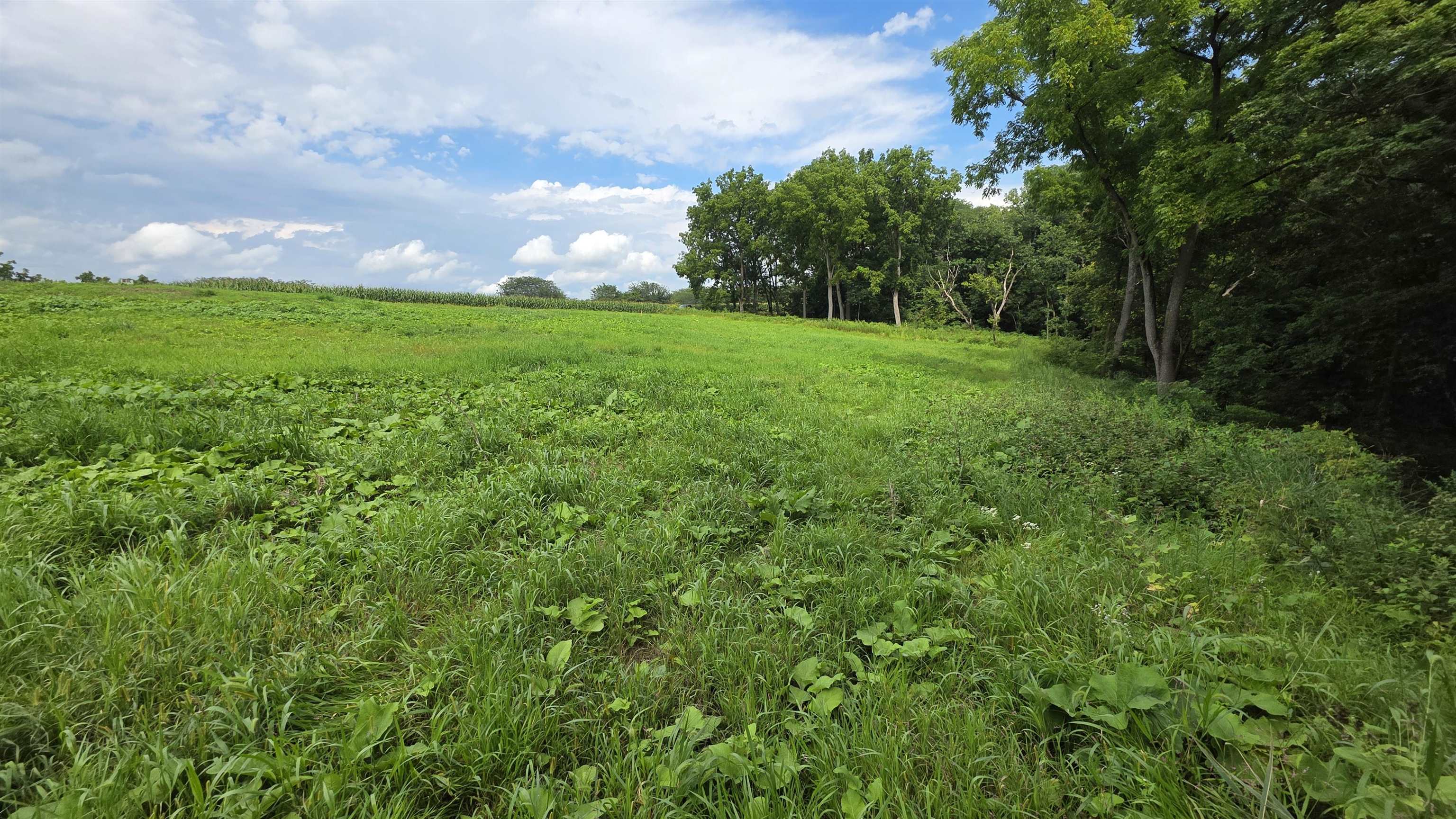 Photo 16 of 4795 Steiger Lane, Waterloo