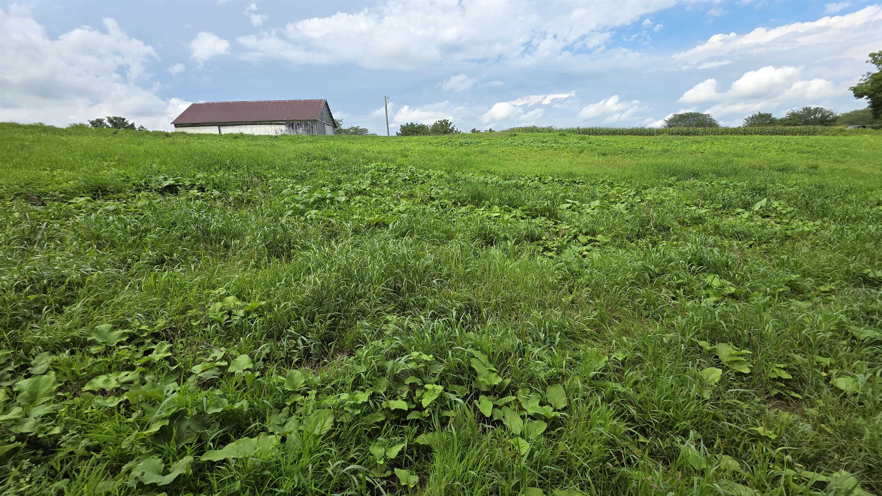 Photo 17 of 4795 Steiger Lane, Waterloo