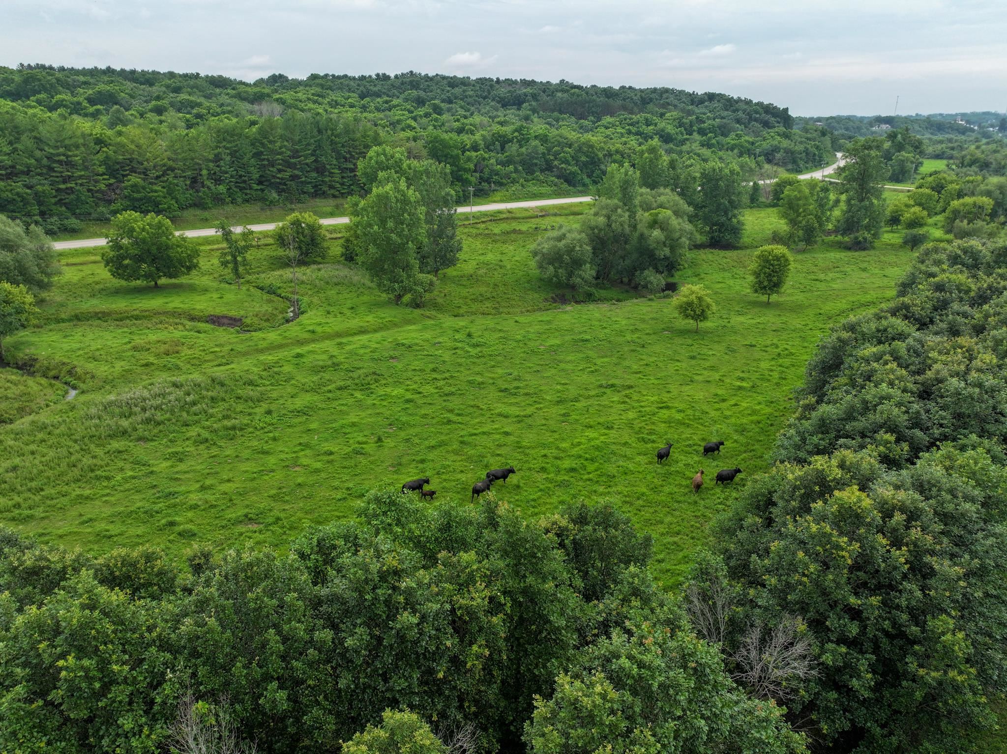 Photo 25 of 35 M/L Acres Crist Lane, Darlington