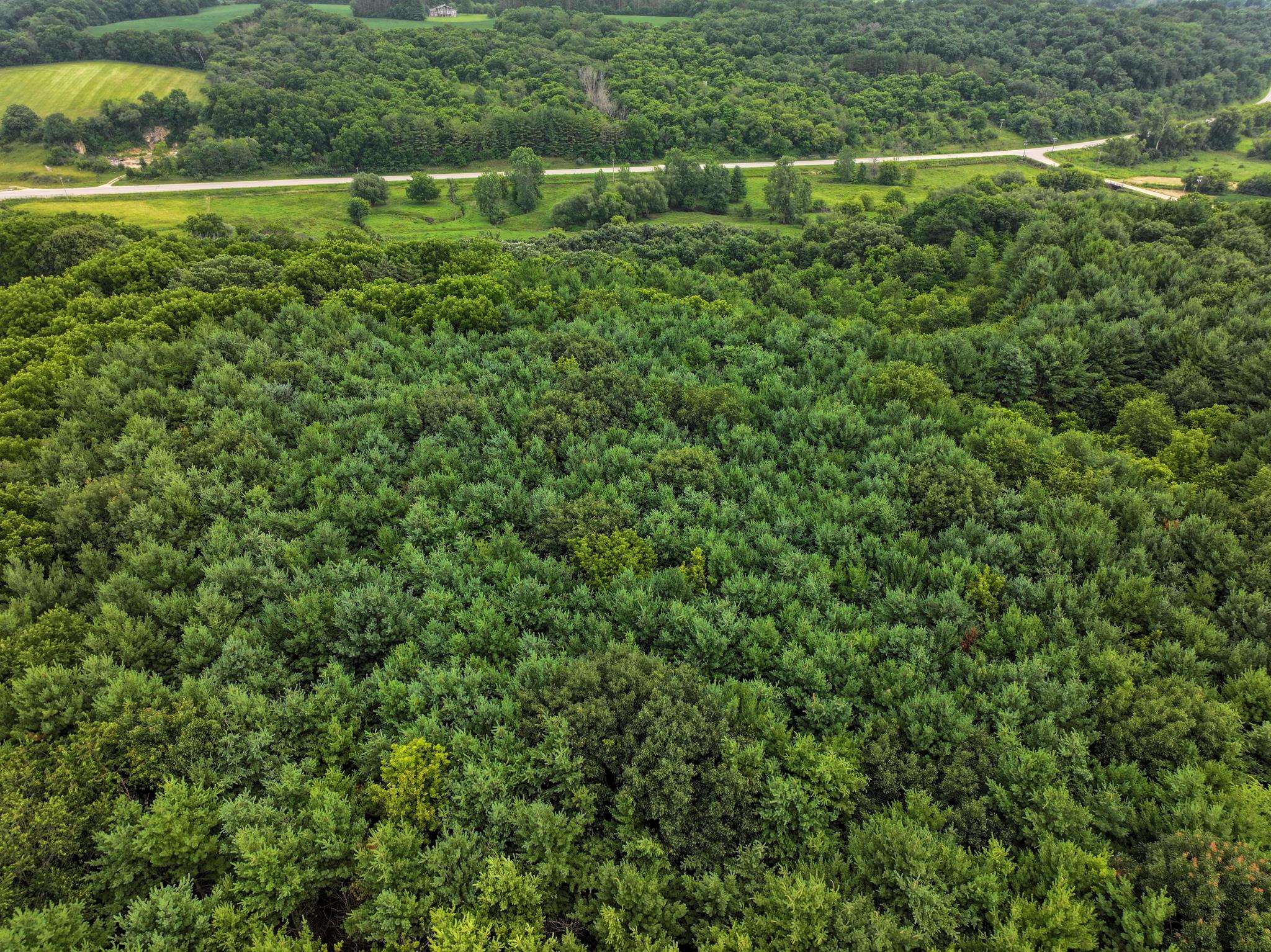 Photo 28 of 35 M/L Acres Crist Lane, Darlington
