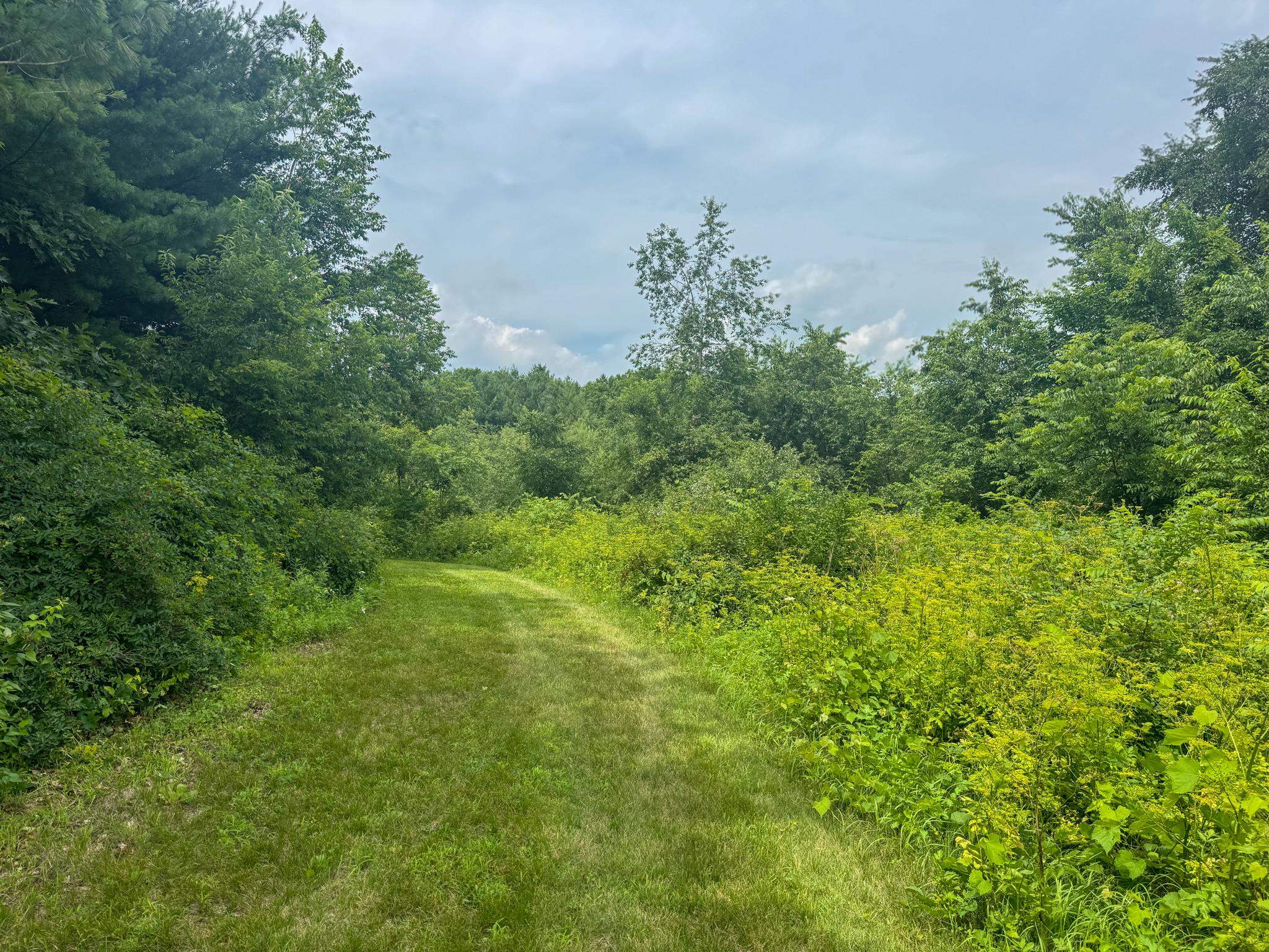 Photo 39 of 35 M/L Acres Crist Lane, Darlington