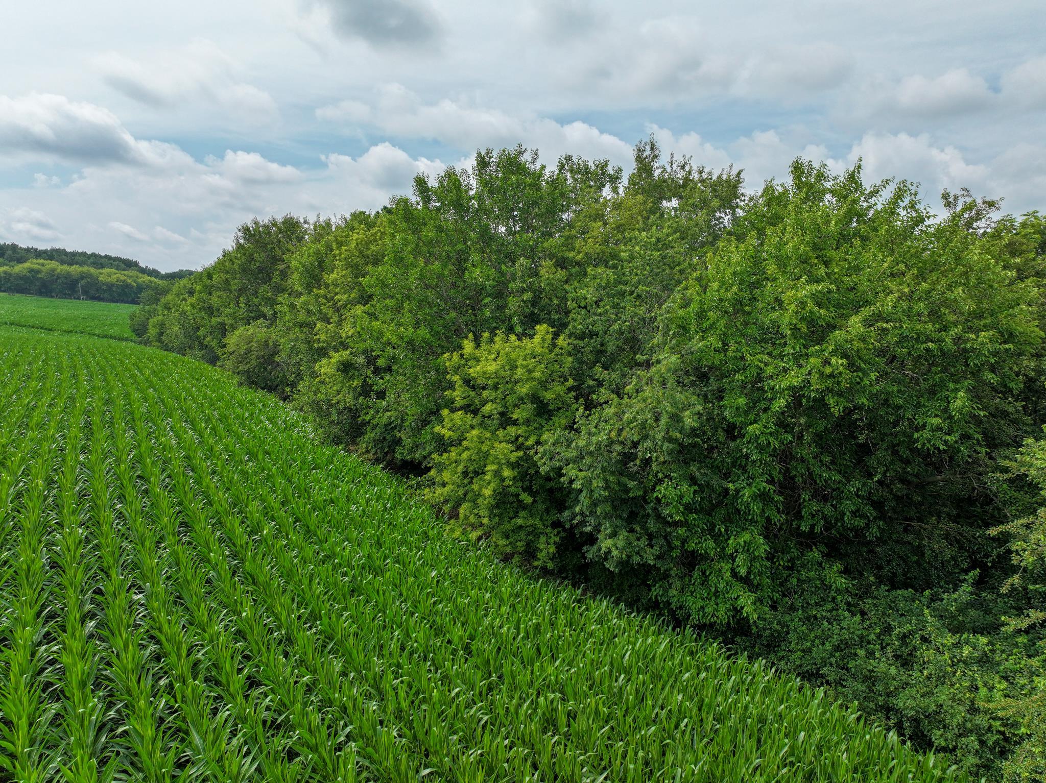 Photo 17 of 34.59 Acres Riverbend Road, Gratiot