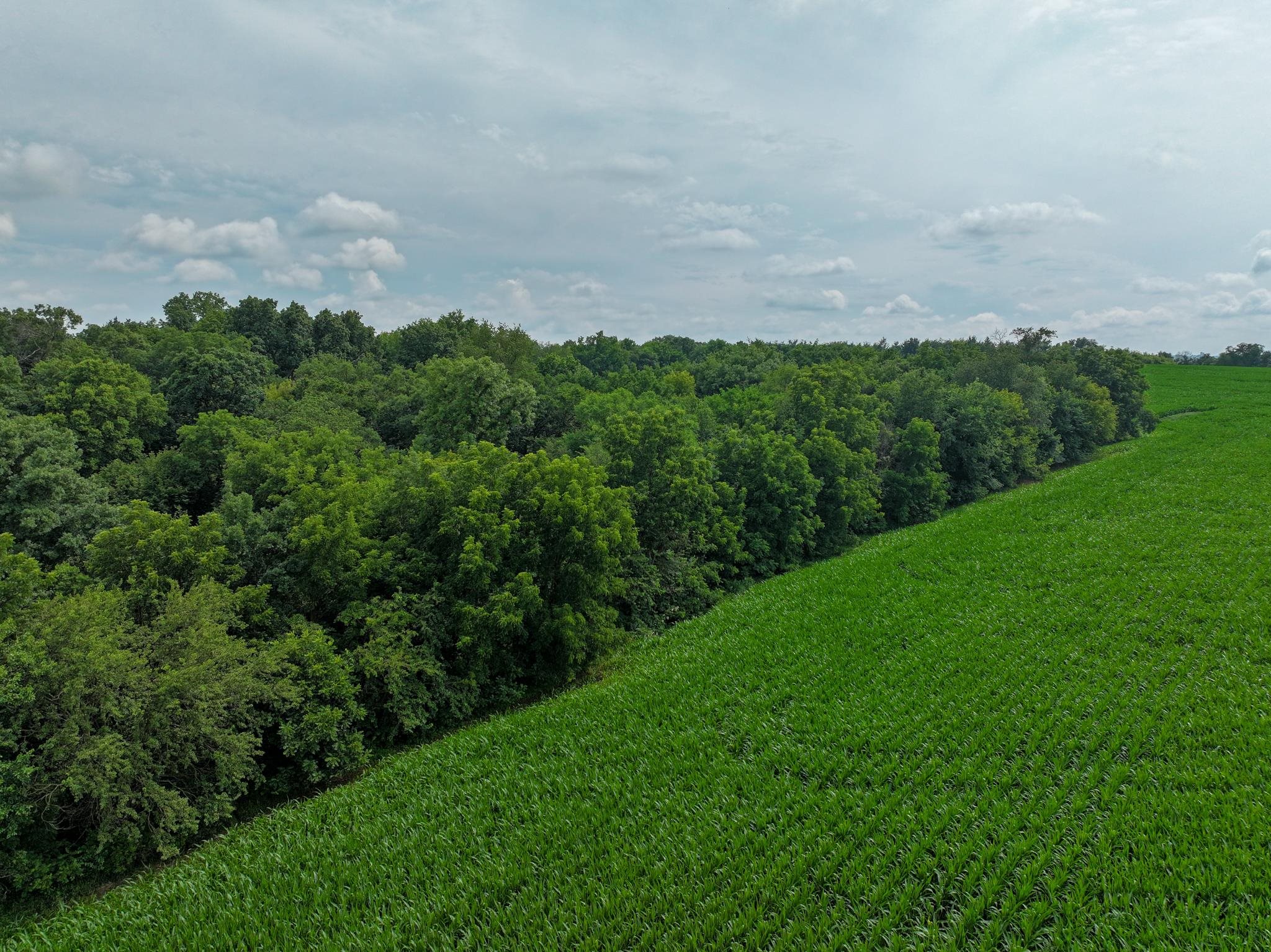 Photo 19 of 34.59 Acres Riverbend Road, Gratiot