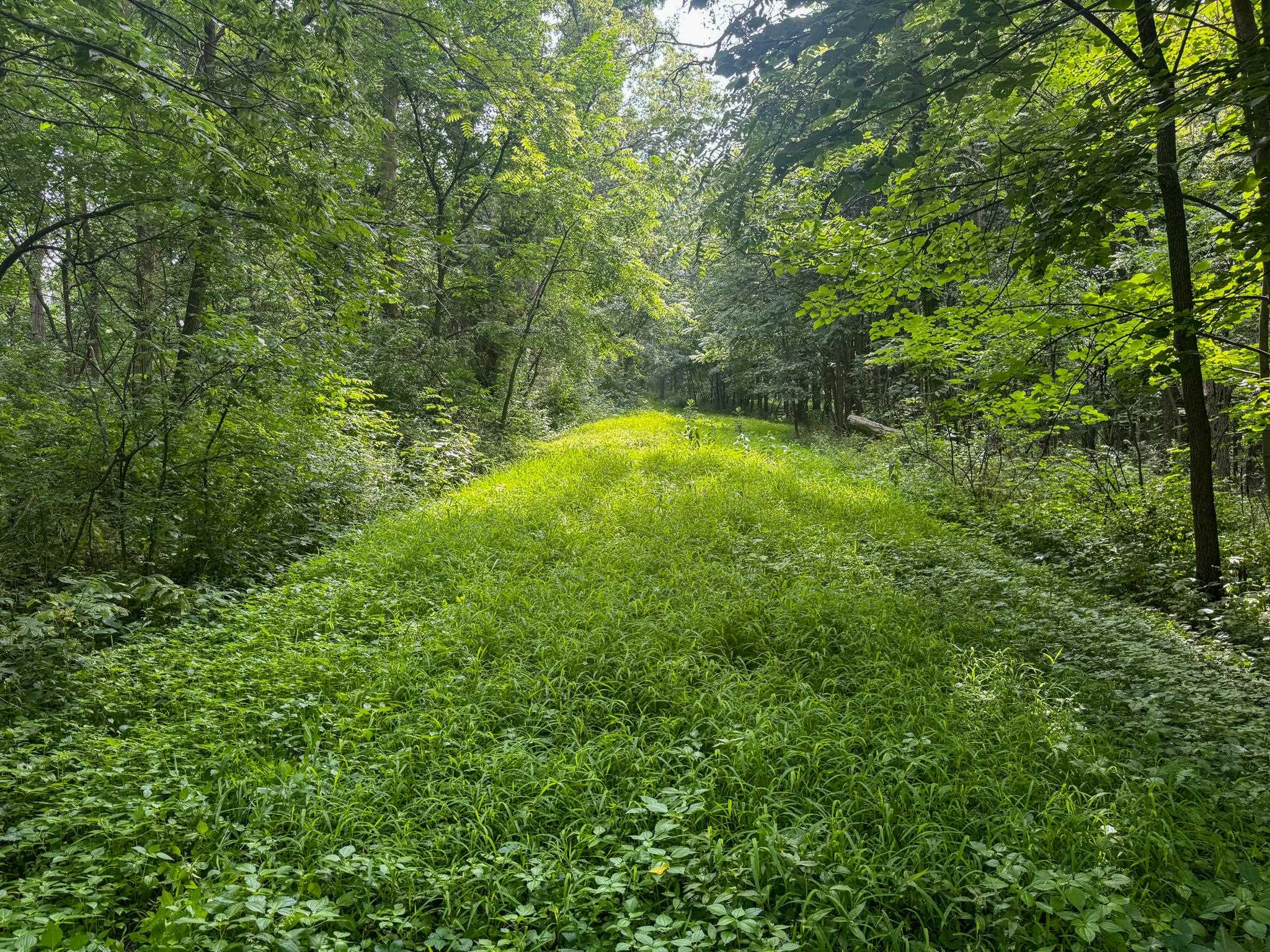 Photo 20 of 34.59 Acres Riverbend Road, Gratiot