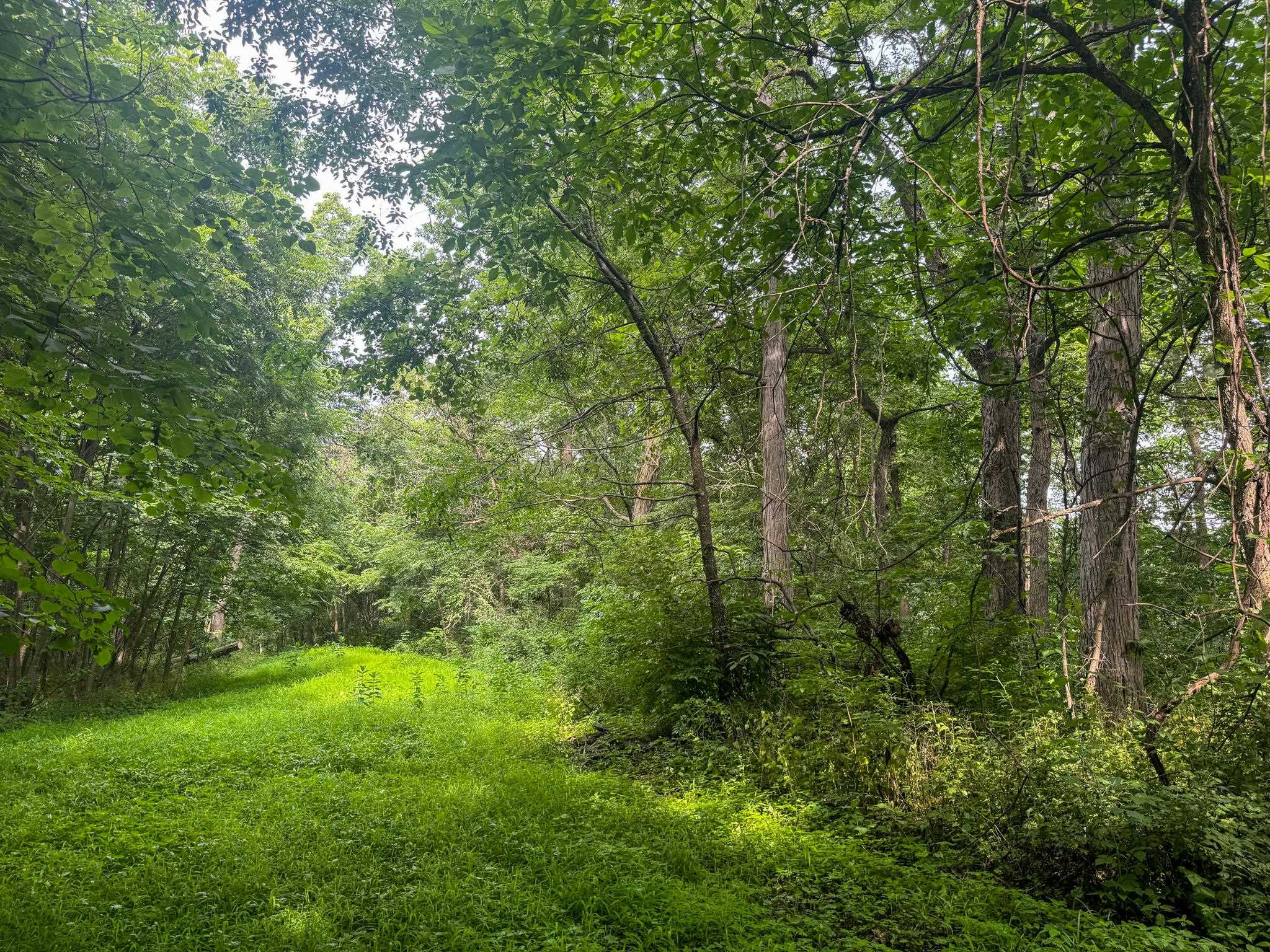 Photo 25 of 34.59 Acres Riverbend Road, Gratiot