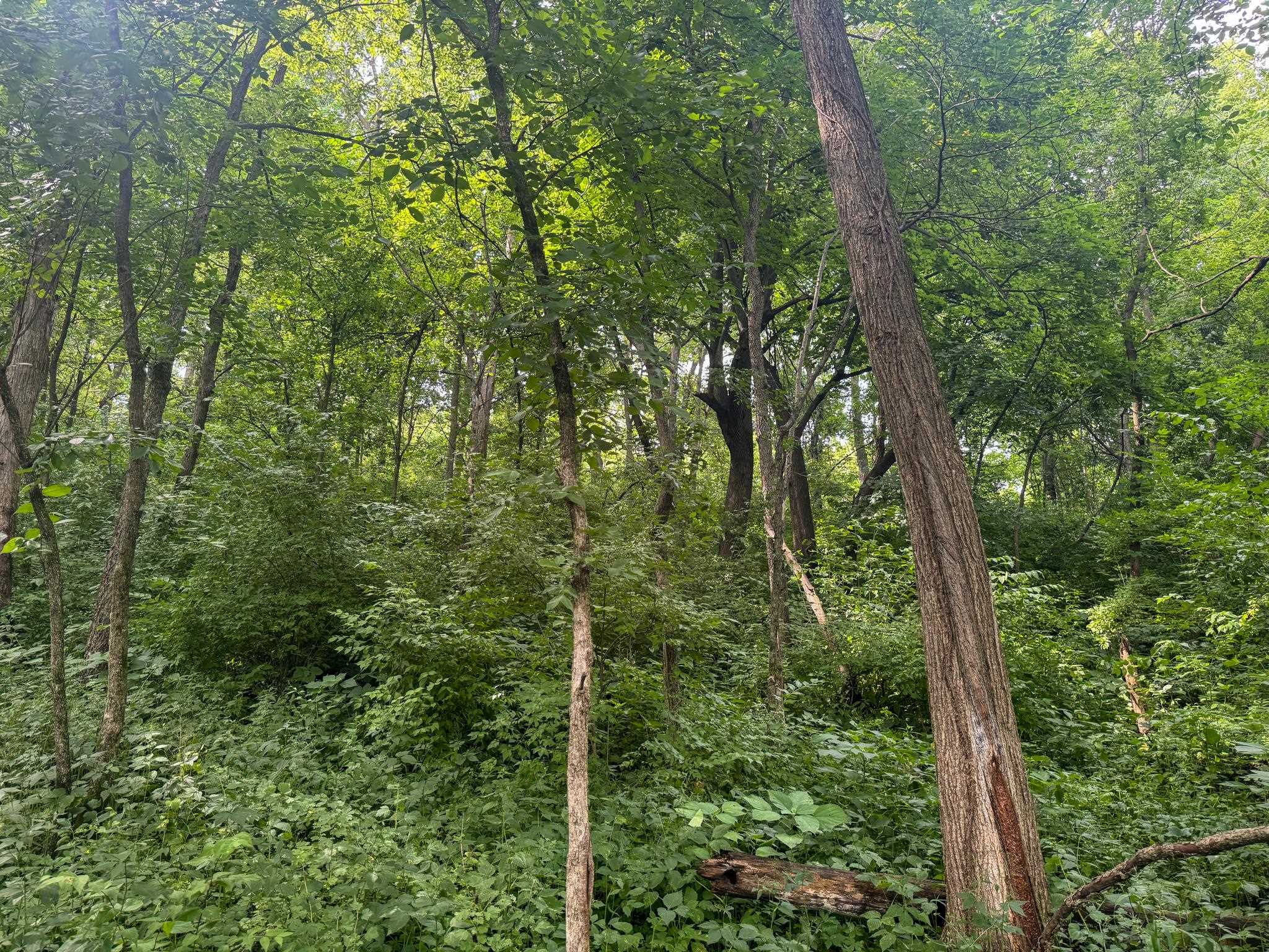 Photo 27 of 34.59 Acres Riverbend Road, Gratiot