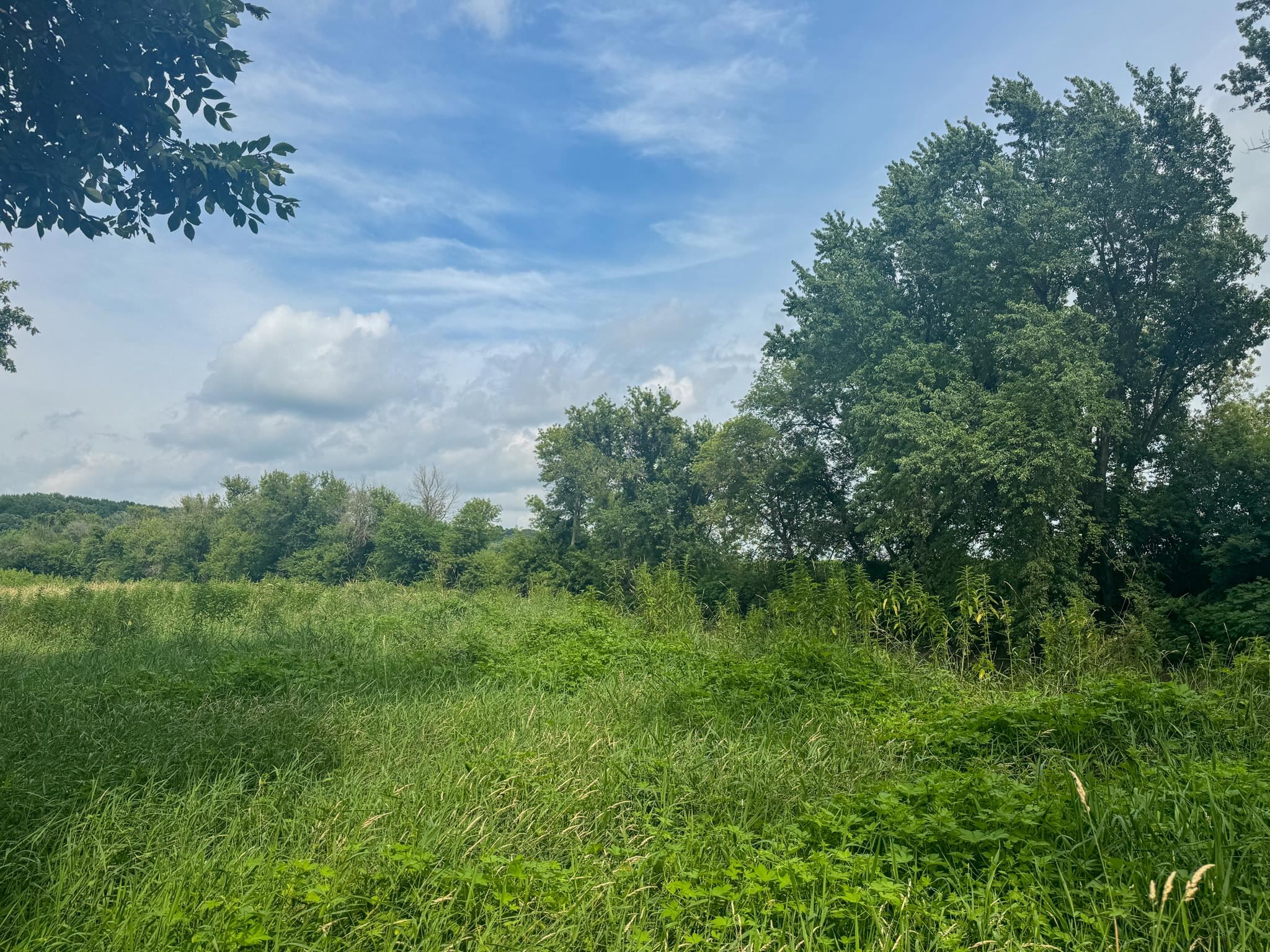 Photo 29 of 34.59 Acres Riverbend Road, Gratiot