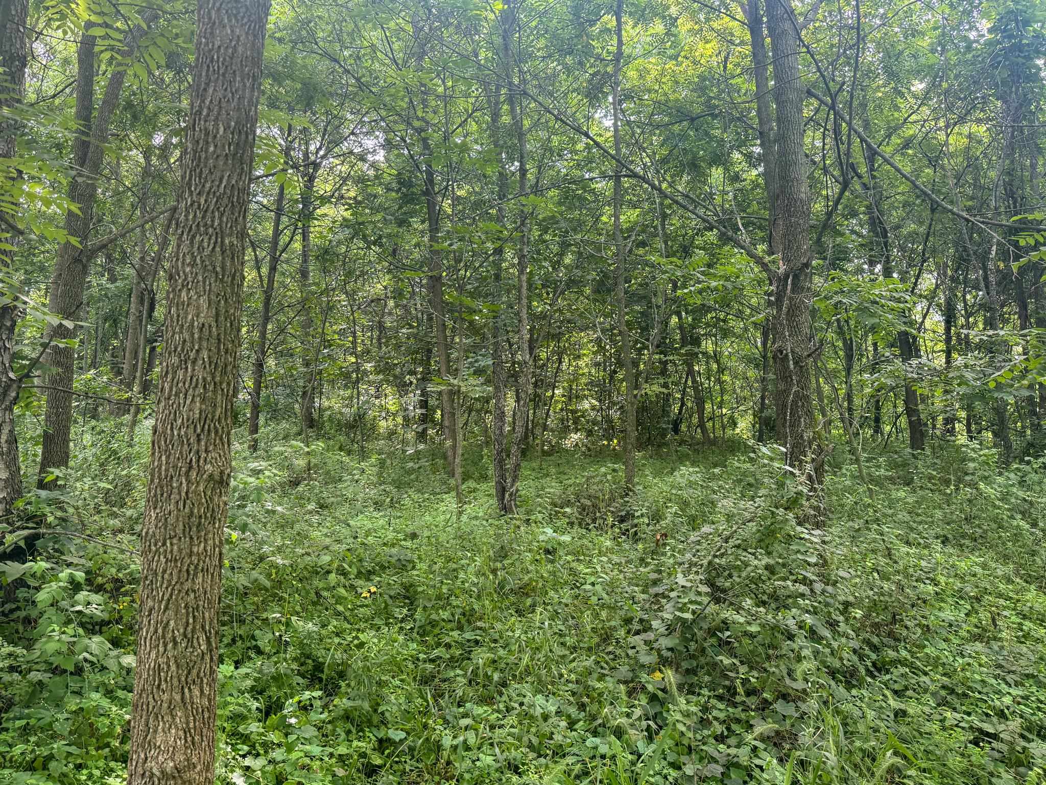 Photo 32 of 34.59 Acres Riverbend Road, Gratiot