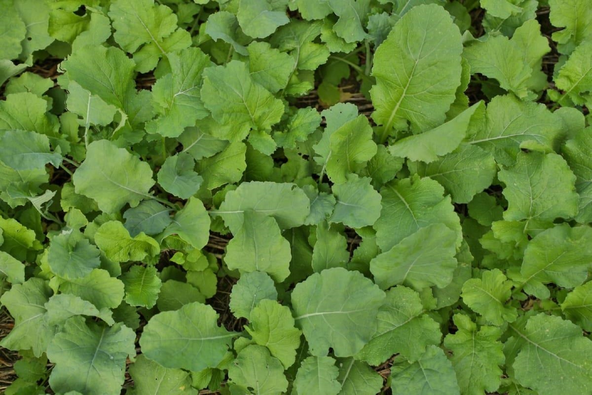 Photo 23 of 000 County Road K, Brigham
