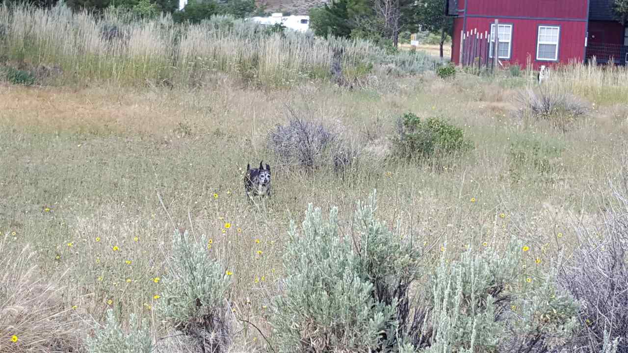 Another lot adjacent.