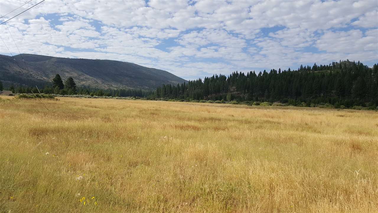 Find your way through the woods to 100s of miles of Tahoe National Forest.  REALLY!