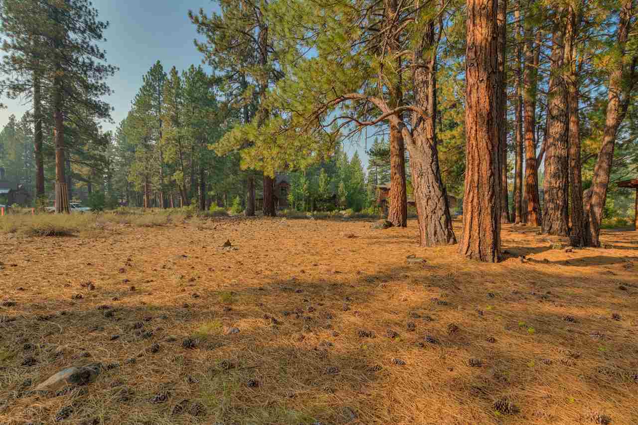 12404 Caleb Drive, Truckee CA 96161 photo 3