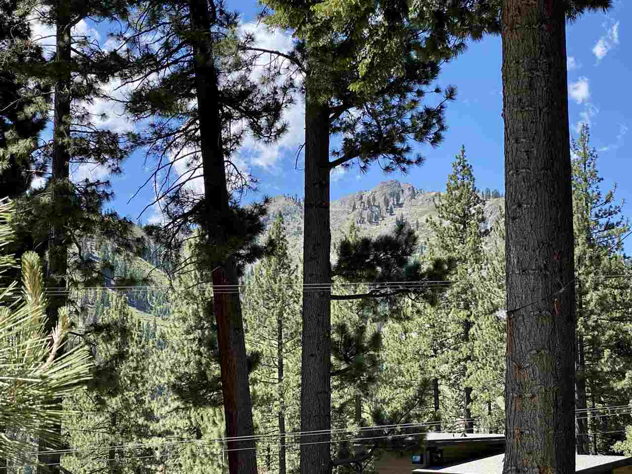 1542 Sandy Way, Olympic Valley, CA, 96146-0000