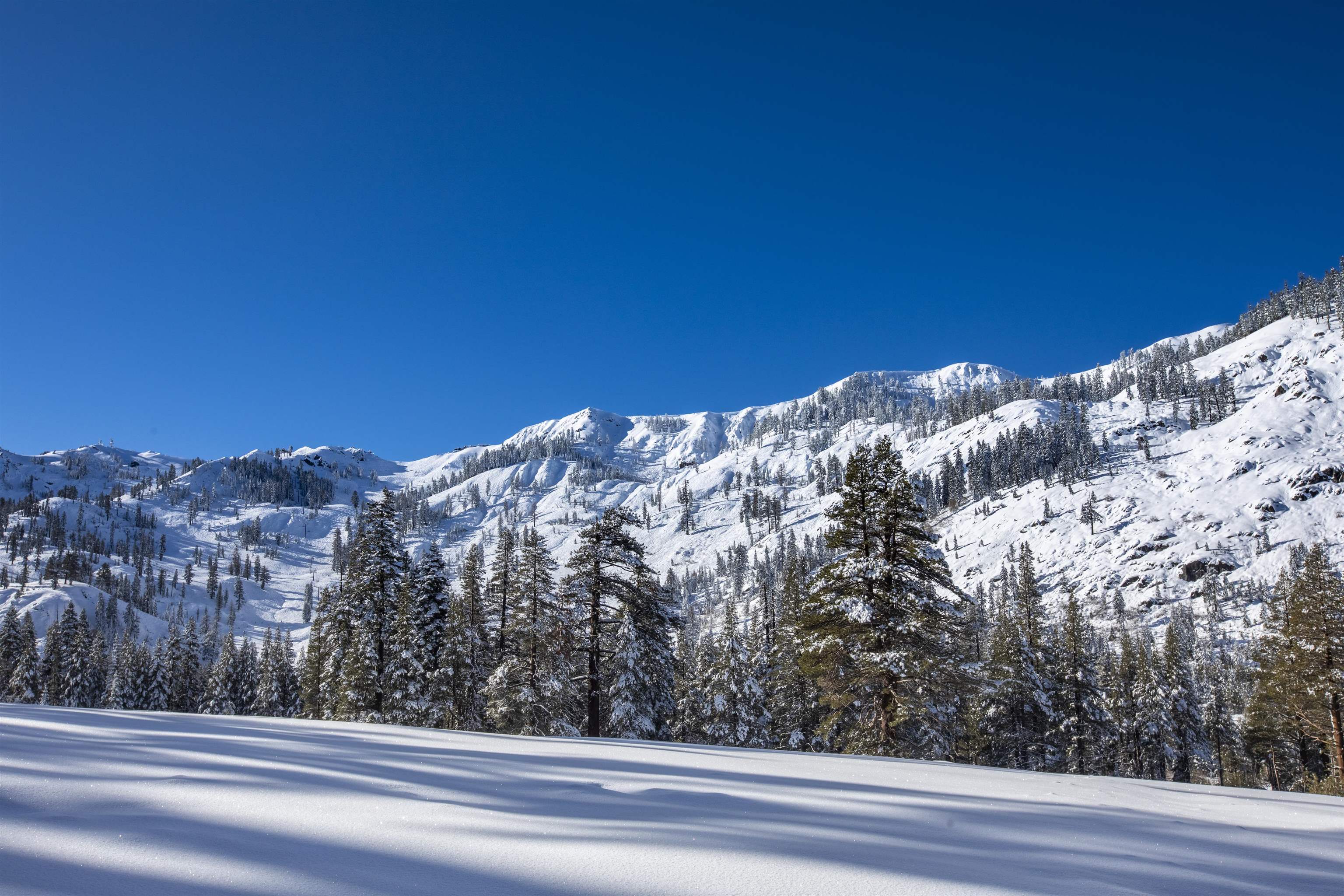 xxxxx Alpine Meadows Road, Alpine Meadows, CA, 96146-9837