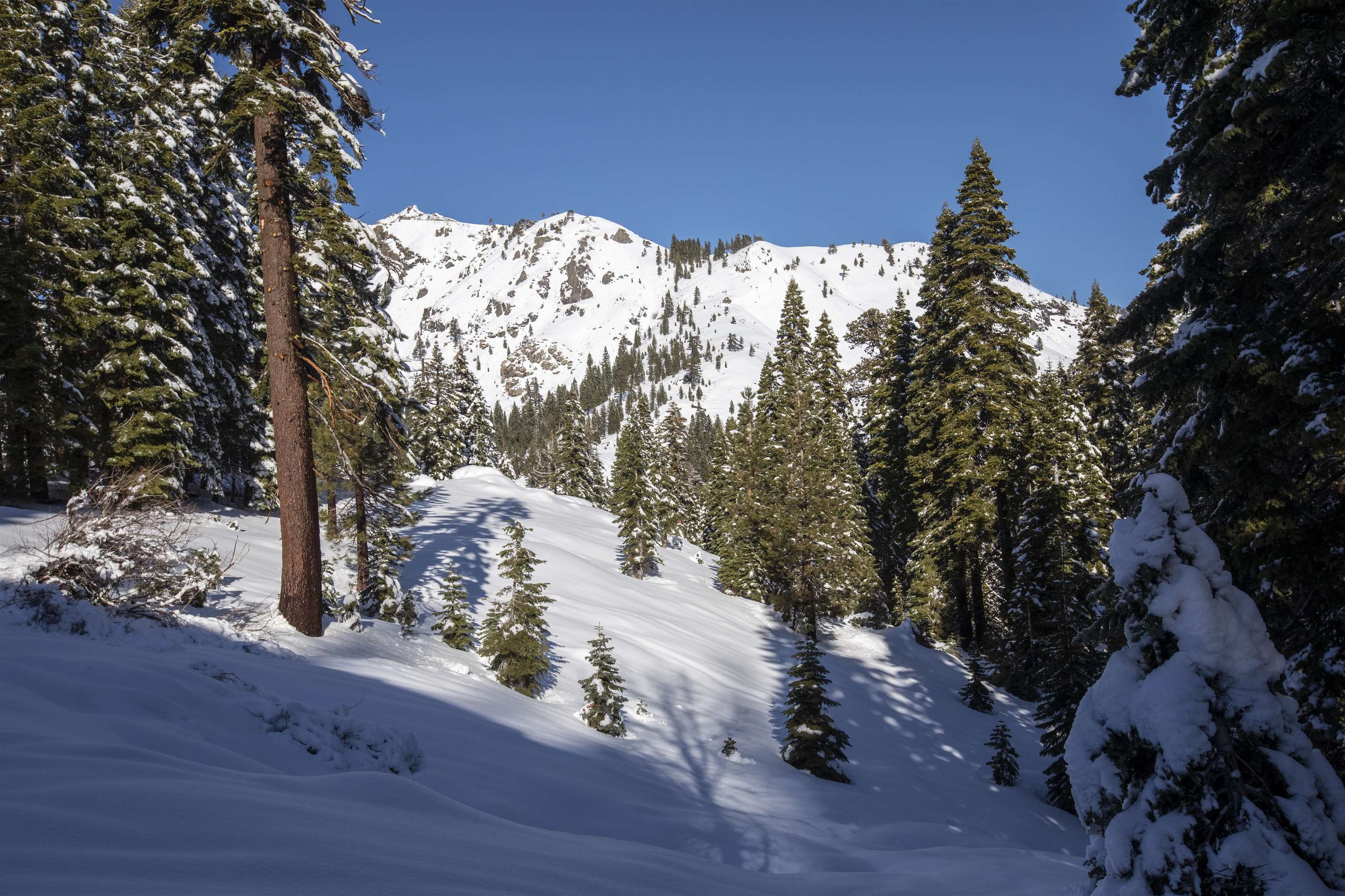 xxxxx Alpine Meadows Road, Alpine Meadows, CA, 96146-9837