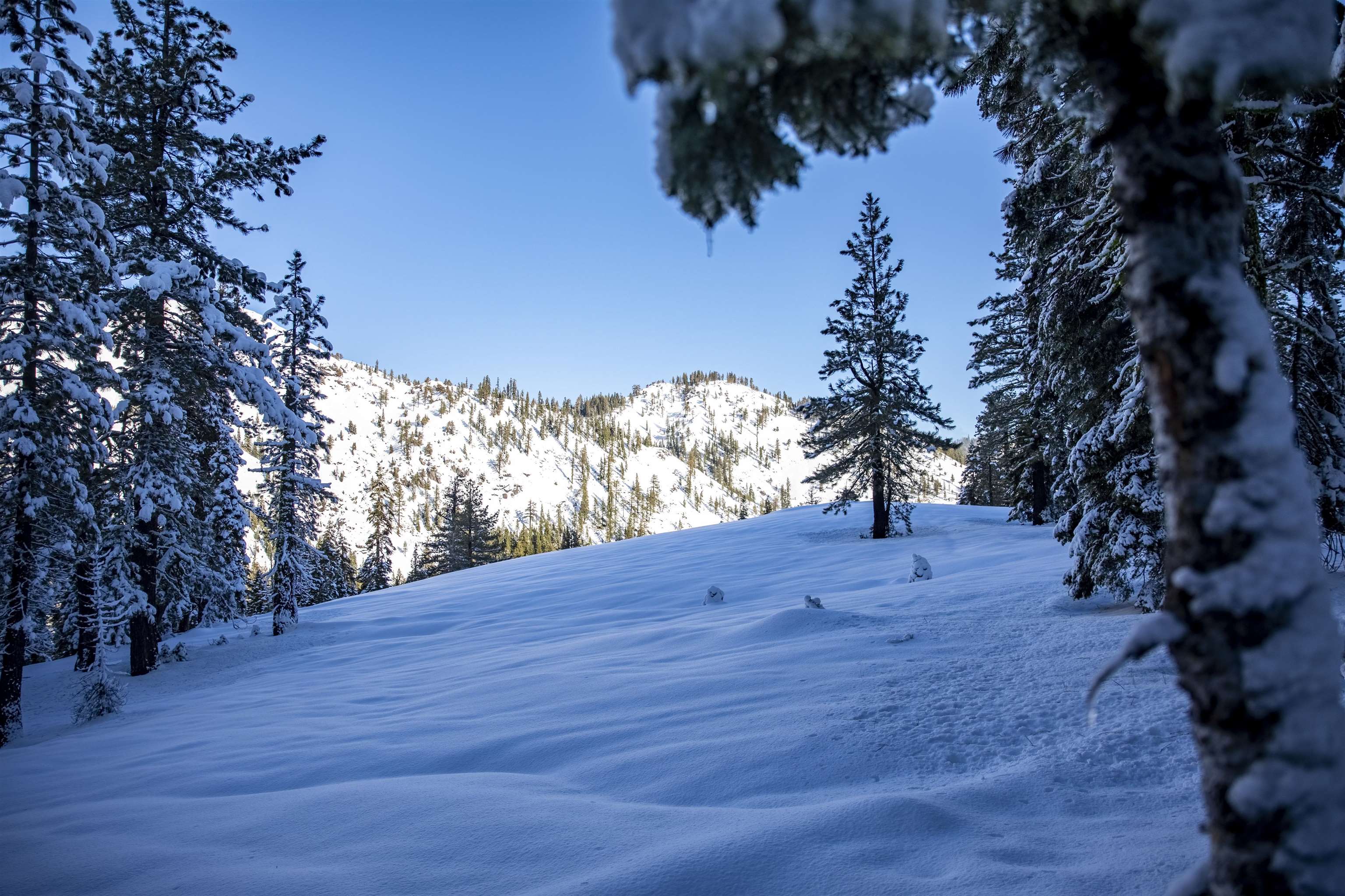 xxxxx Alpine Meadows Road, Alpine Meadows, CA, 96146-9837