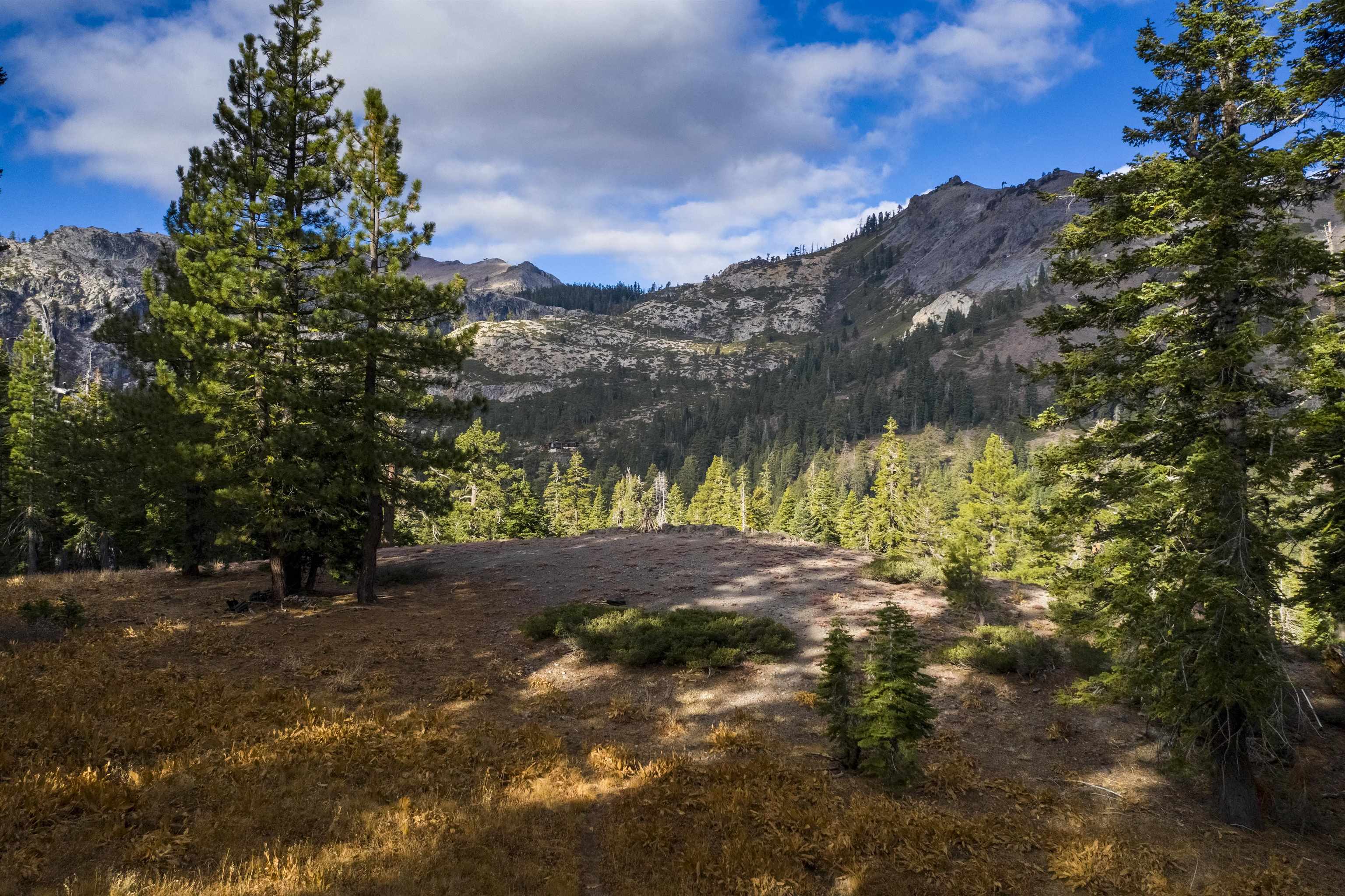 xxxxx Alpine Meadows Road, Alpine Meadows, CA, 96146-9837