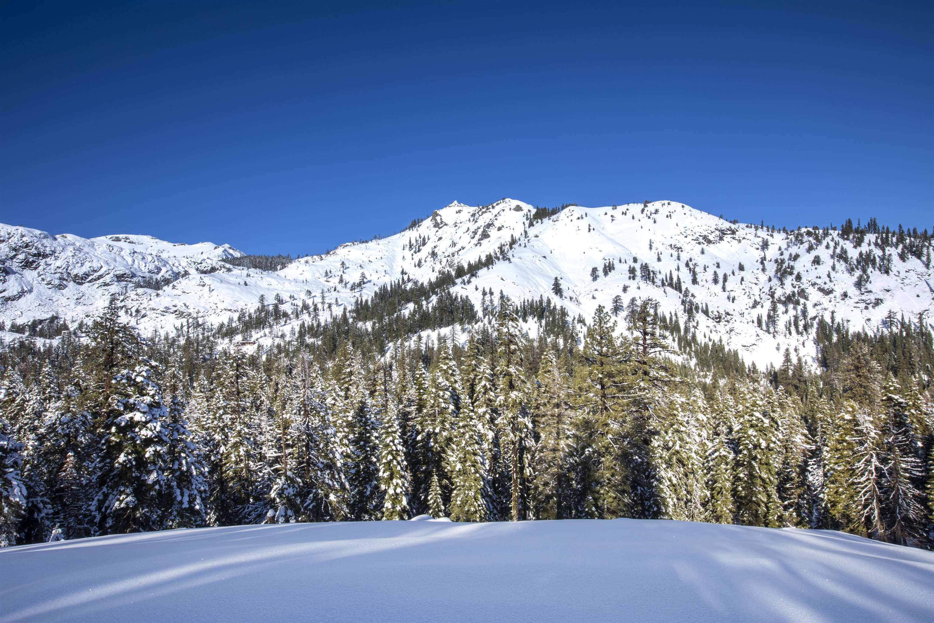 xxxxx Alpine Meadows Road, Alpine Meadows, CA, 96146-9837