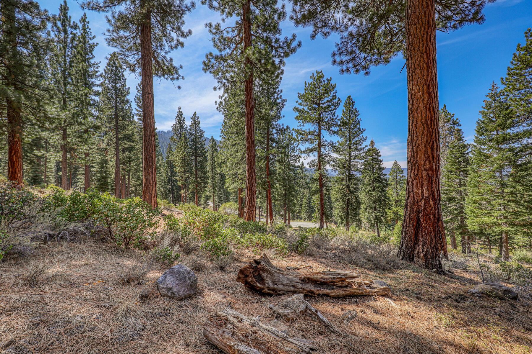 2790 Cross Cut Court, Truckee, CA, 96161