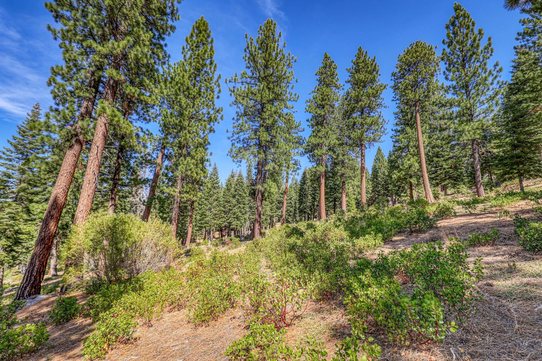 2790 Cross Cut Court, Truckee, CA, 96161