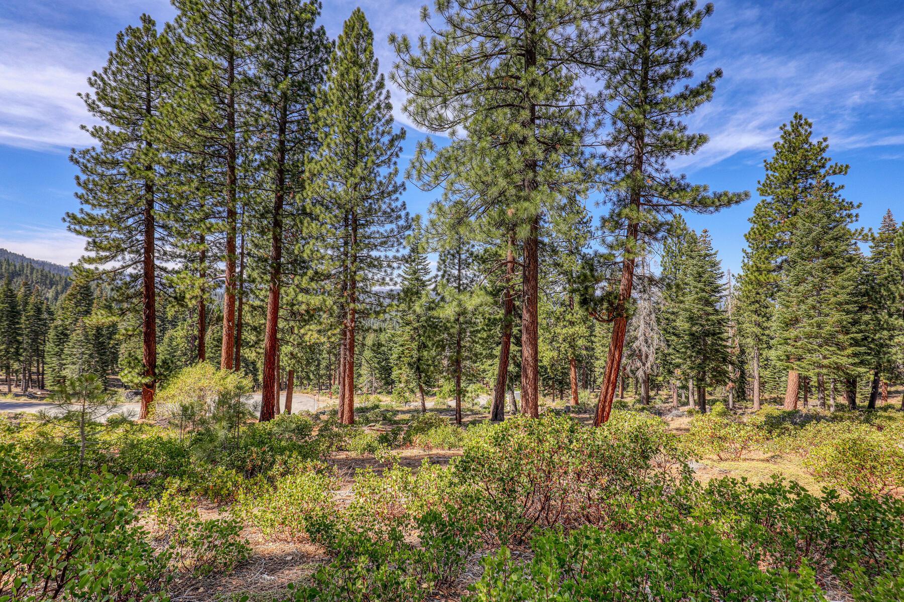 2790 Cross Cut Court, Truckee, CA, 96161
