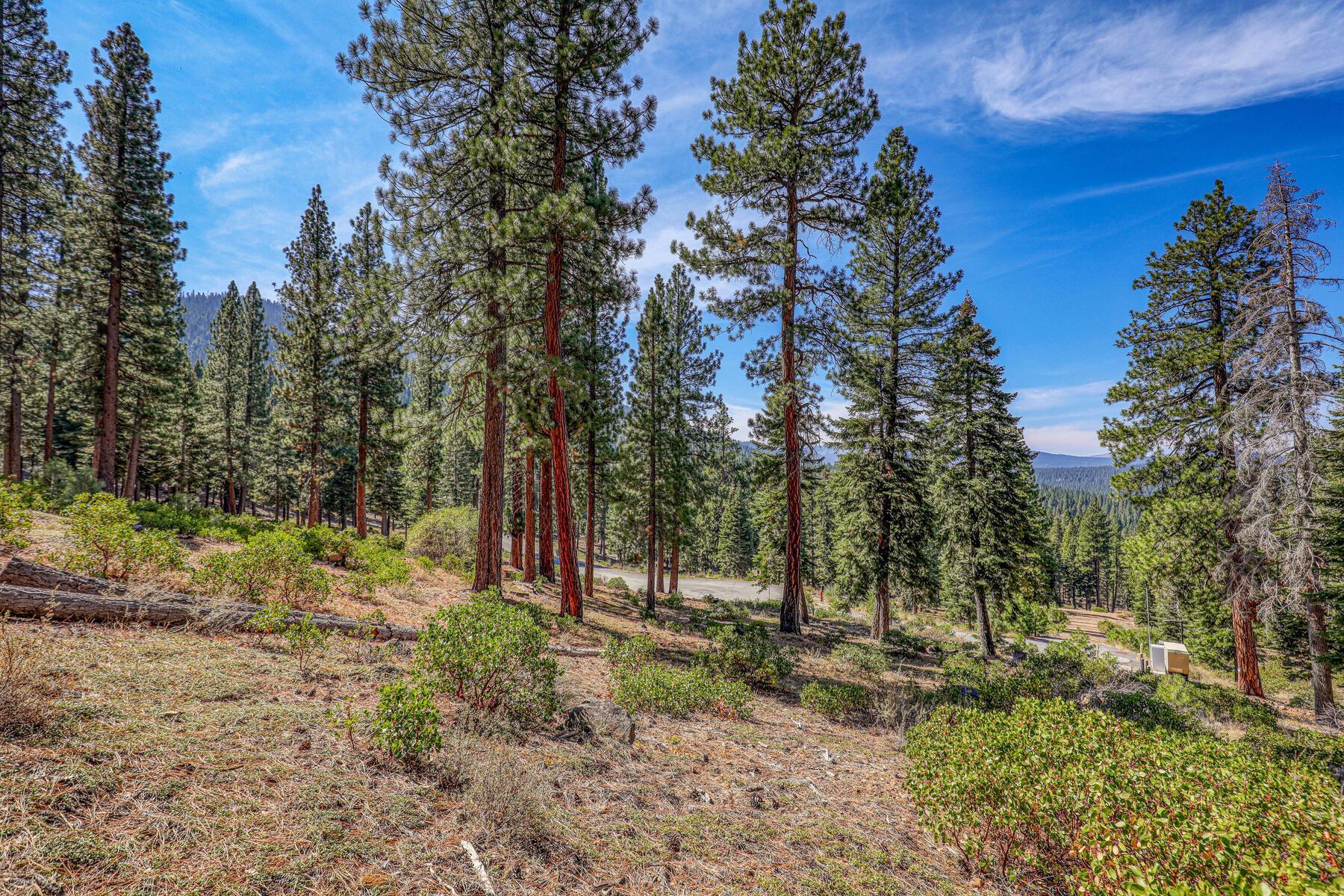 2790 Cross Cut Court, Truckee, CA, 96161