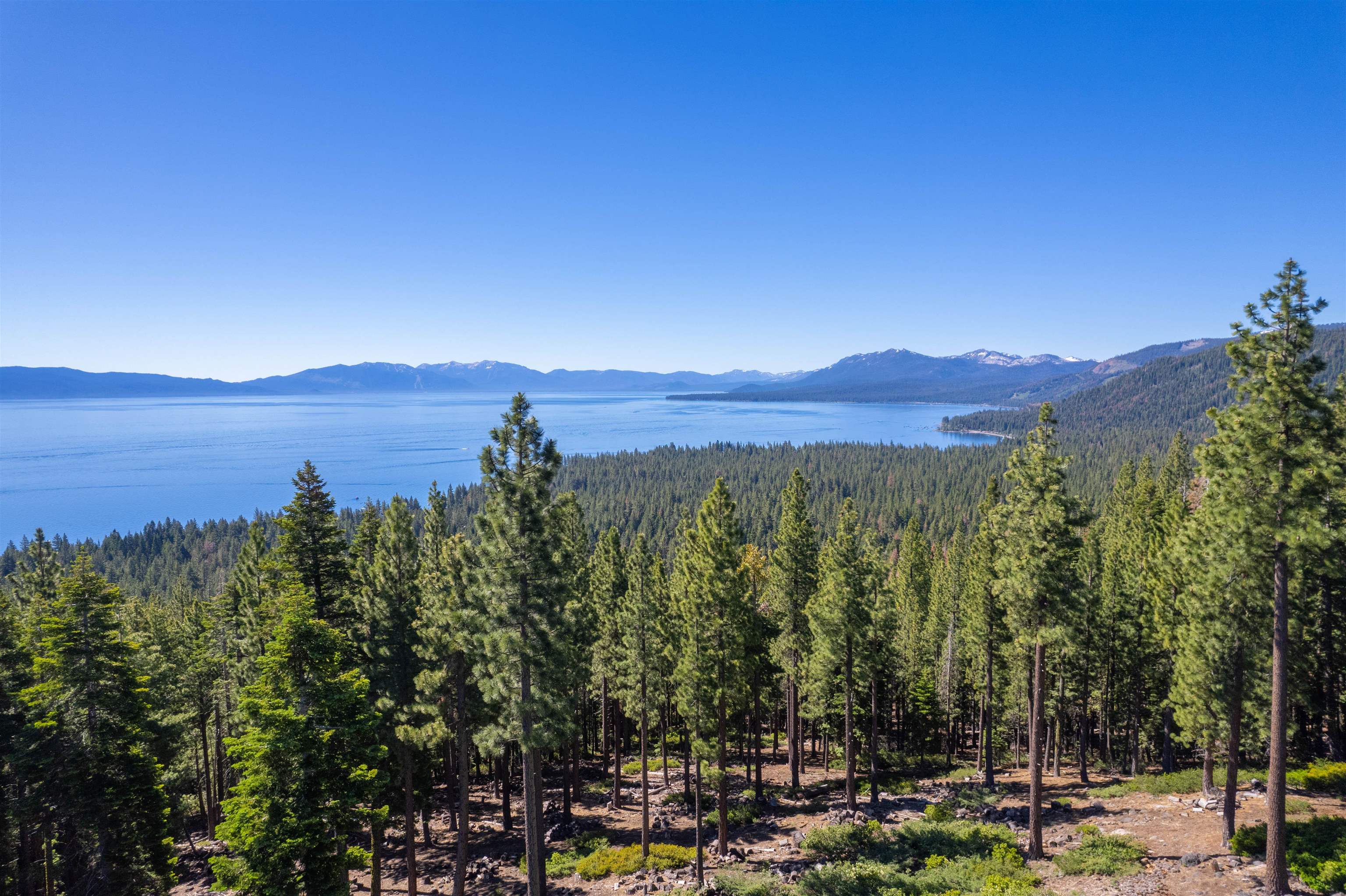 1136 Clearview Court