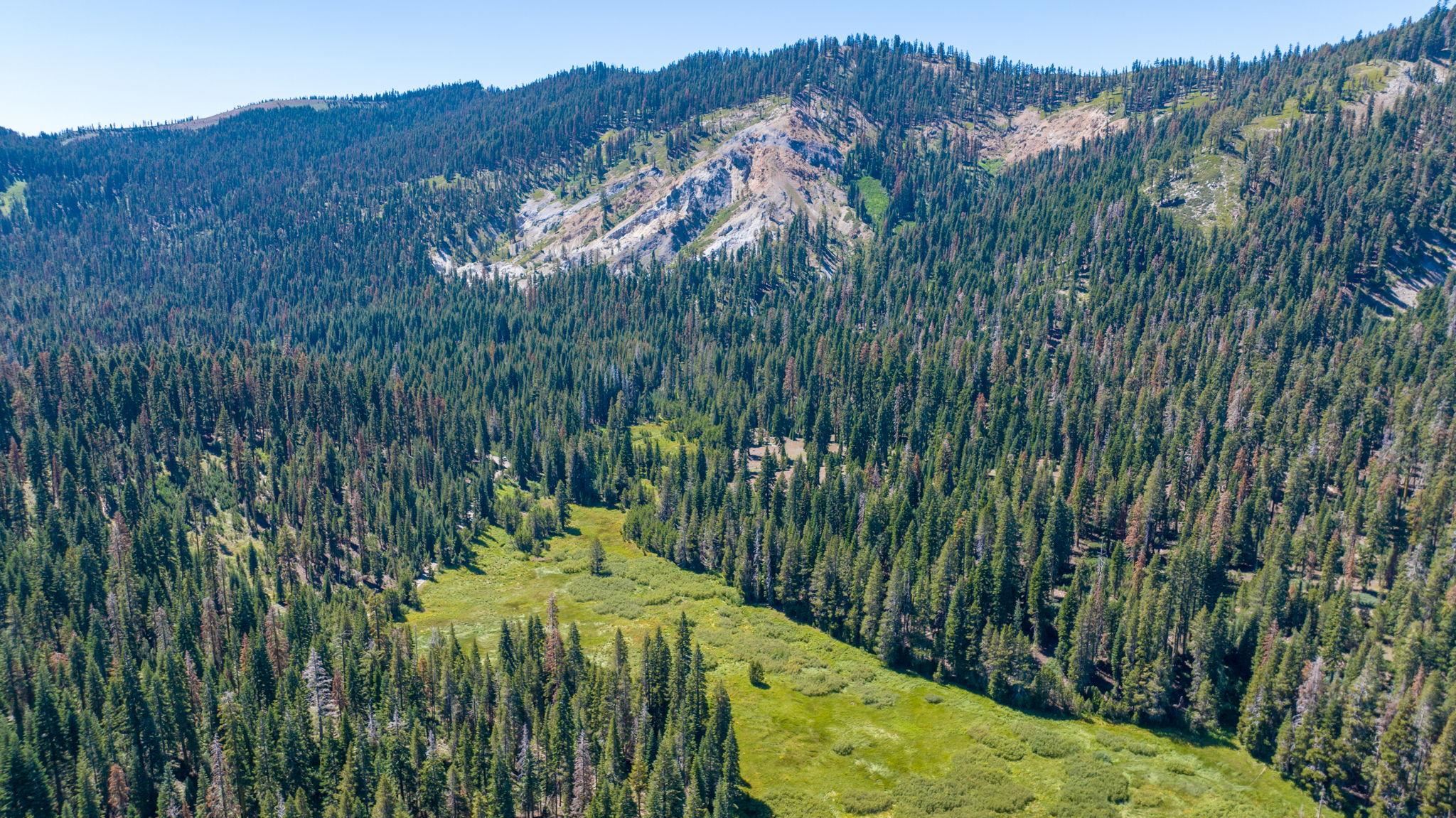 14500 Sloat McRae Road, Johnsville, CA, 96103