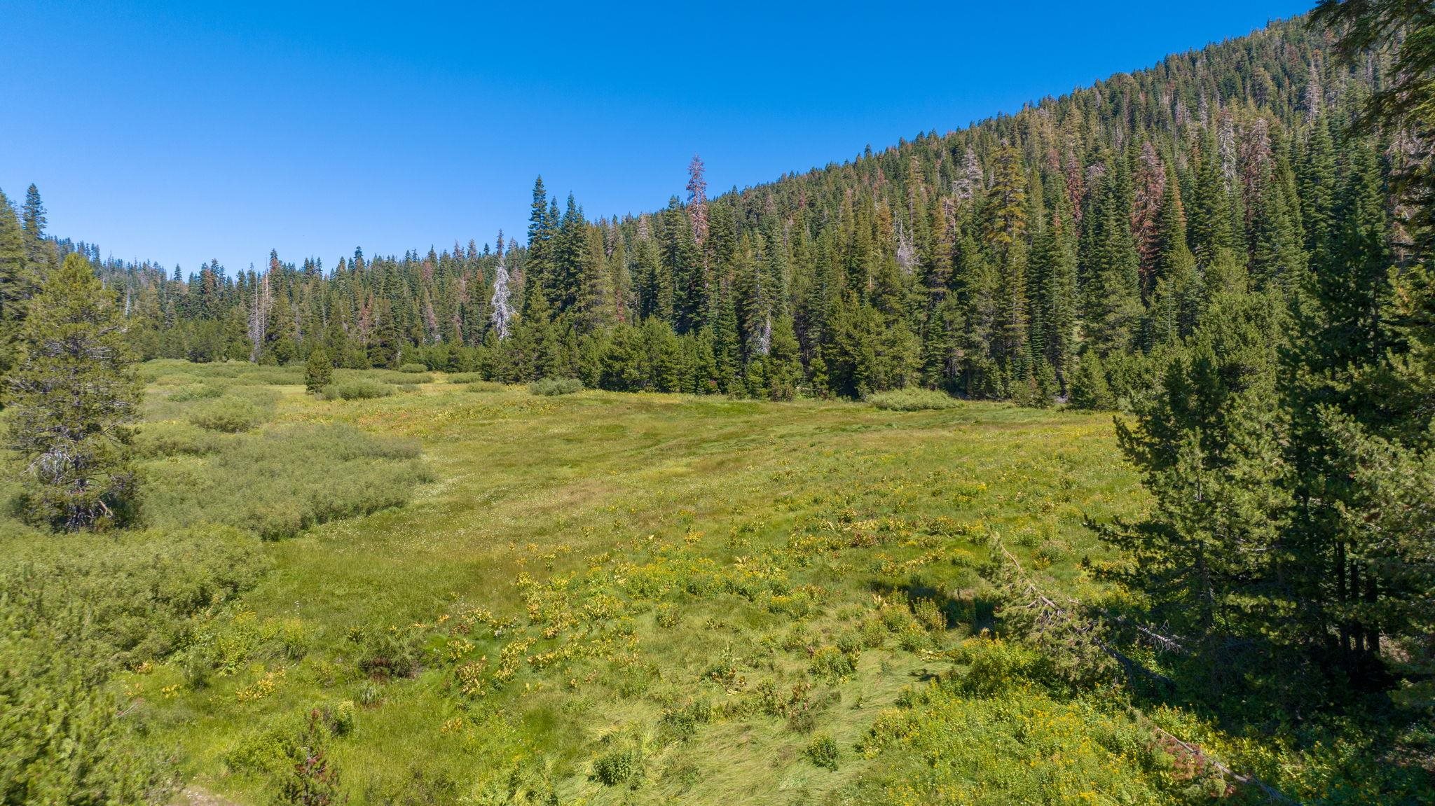 14500 Sloat McRae Road, Johnsville, CA, 96103